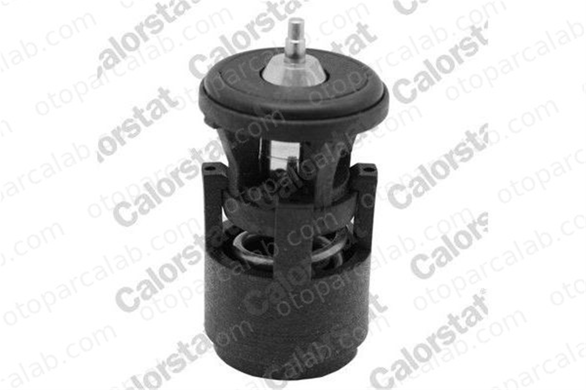 CALORSTAT TH6274.80J Termostat SEAT IBIZA III VW POLO 32121110C 032121110C