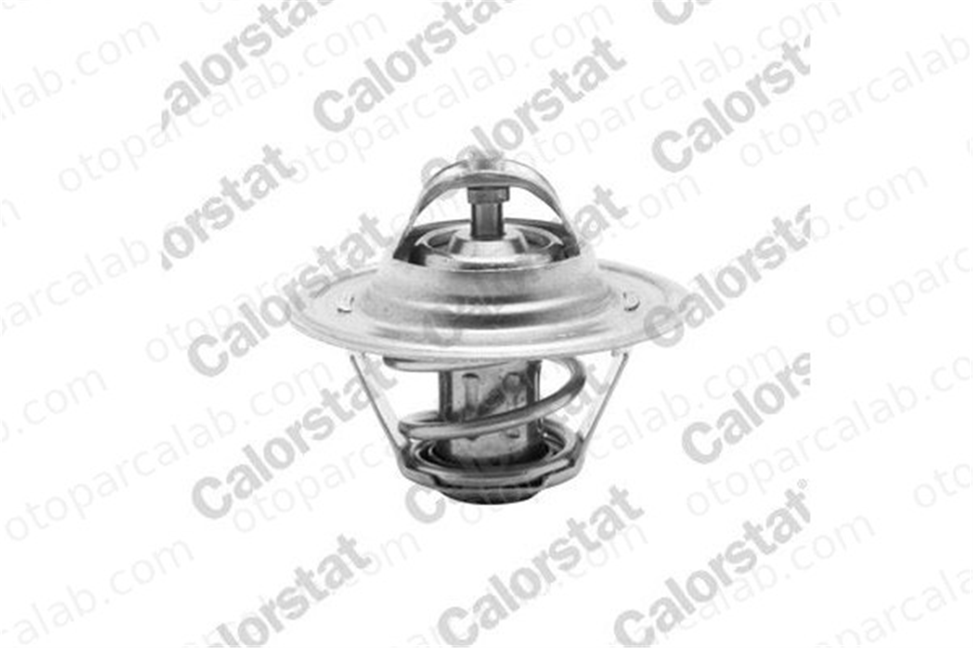CALORSTAT TH6276.87J Termostat 87 °C AUDI A3 SEAT LEON 50121113C 050121113C