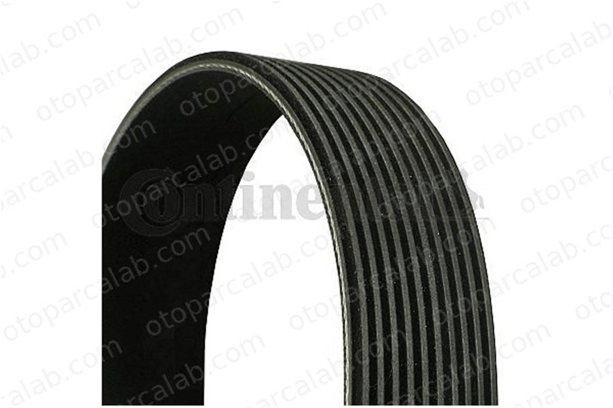 CONTINENTAL 10PK1447 Vantilatör Kayışı VOLVO FL6 RENAULT TRUCKS MIDLINER 10PK1447 5010437219