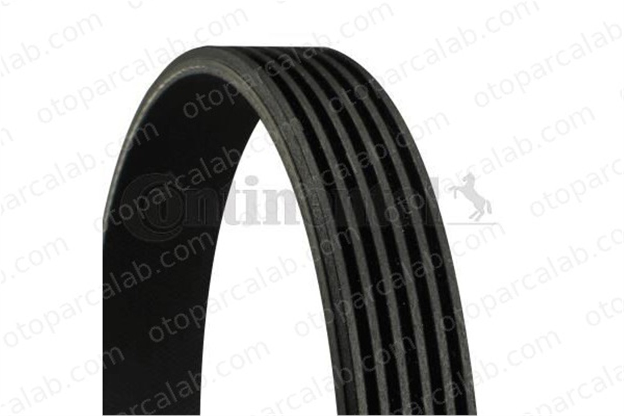 CONTINENTAL 6PK1070 Vantilatör Kayışı VW CADDY III Kasa/büyük limuzin POLO III 6PK1070 3L903137