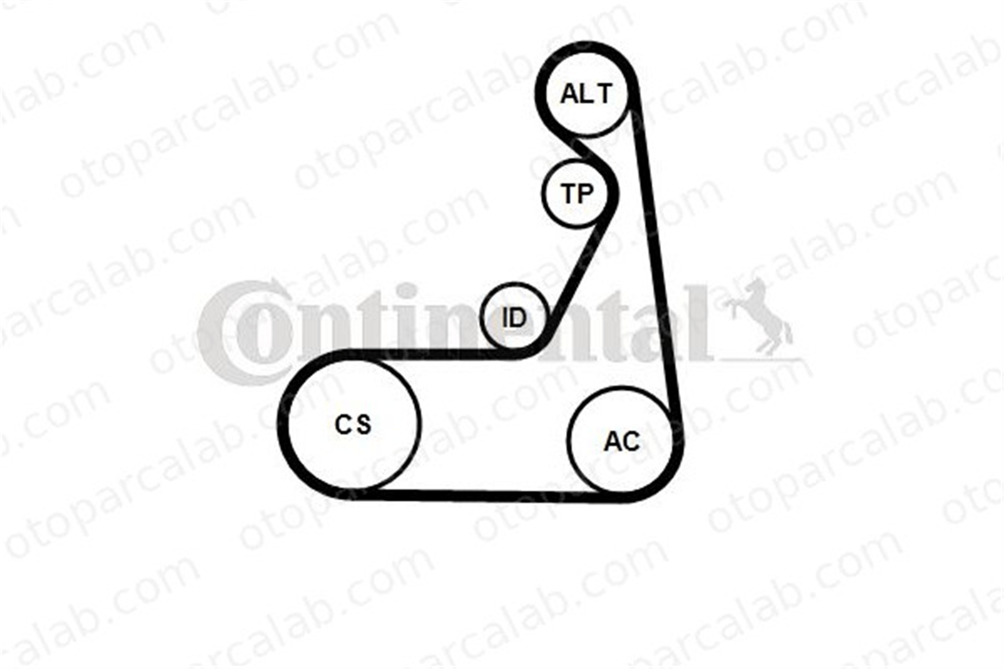 CONTINENTAL 6PK1173K1 Vantilatör Kayış Seti BMW X2 1 11288580360 11288580362