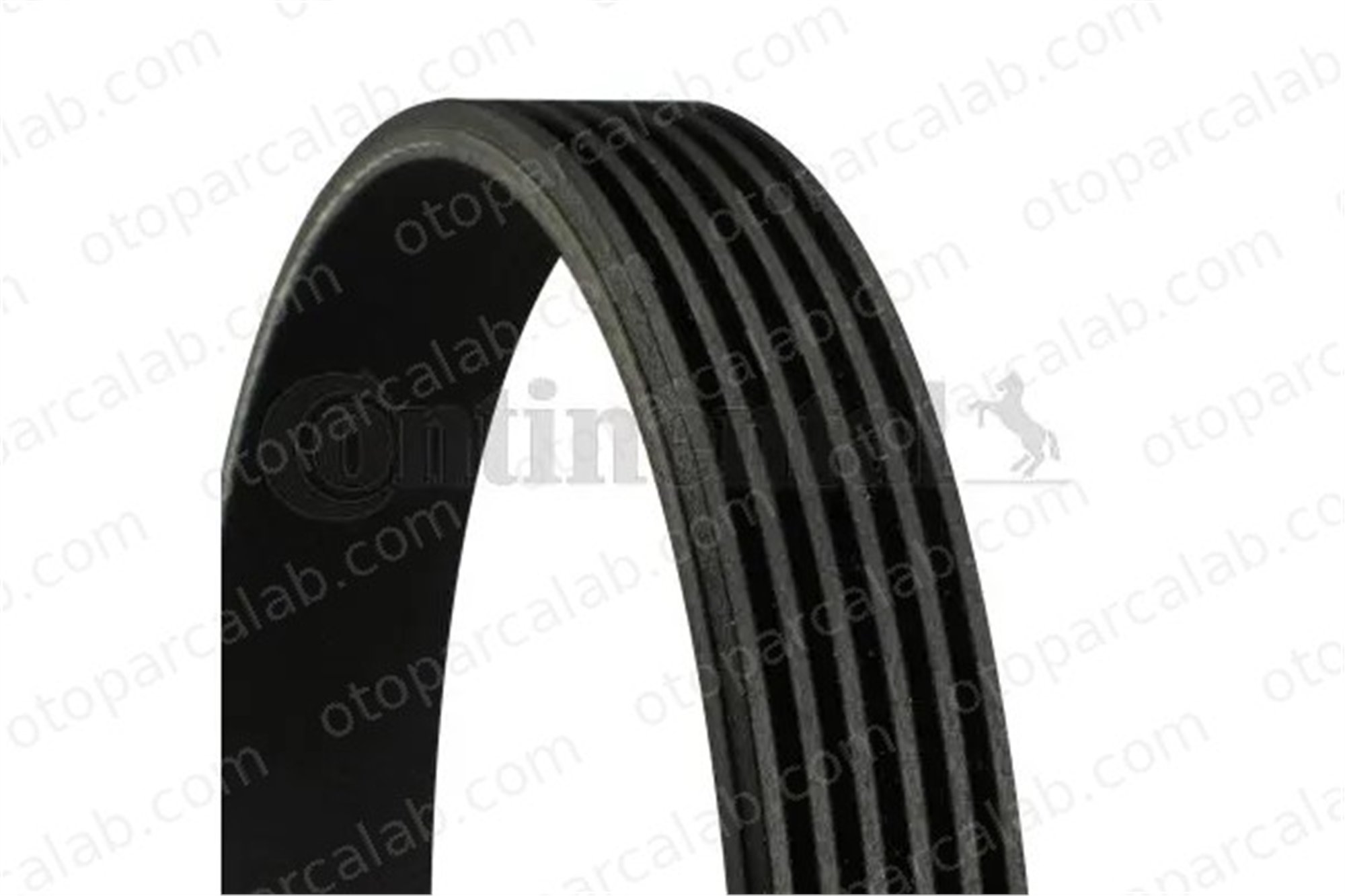 CONTINENTAL 6PK955 Vantilatör Kayışı KIA PRO CEE'D HYUNDAI i30 6PK955 6F903137L