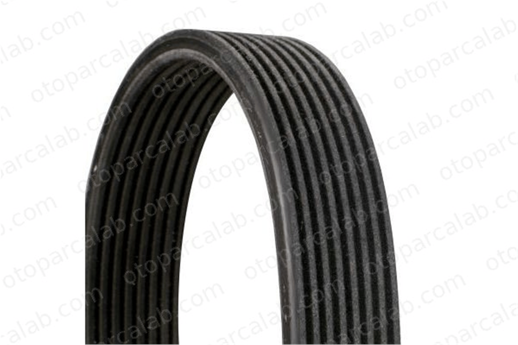 CONTINENTAL 8DPK1827 Vantilatör Kayışı BMW 7 X6 8DPK1827 11287570232