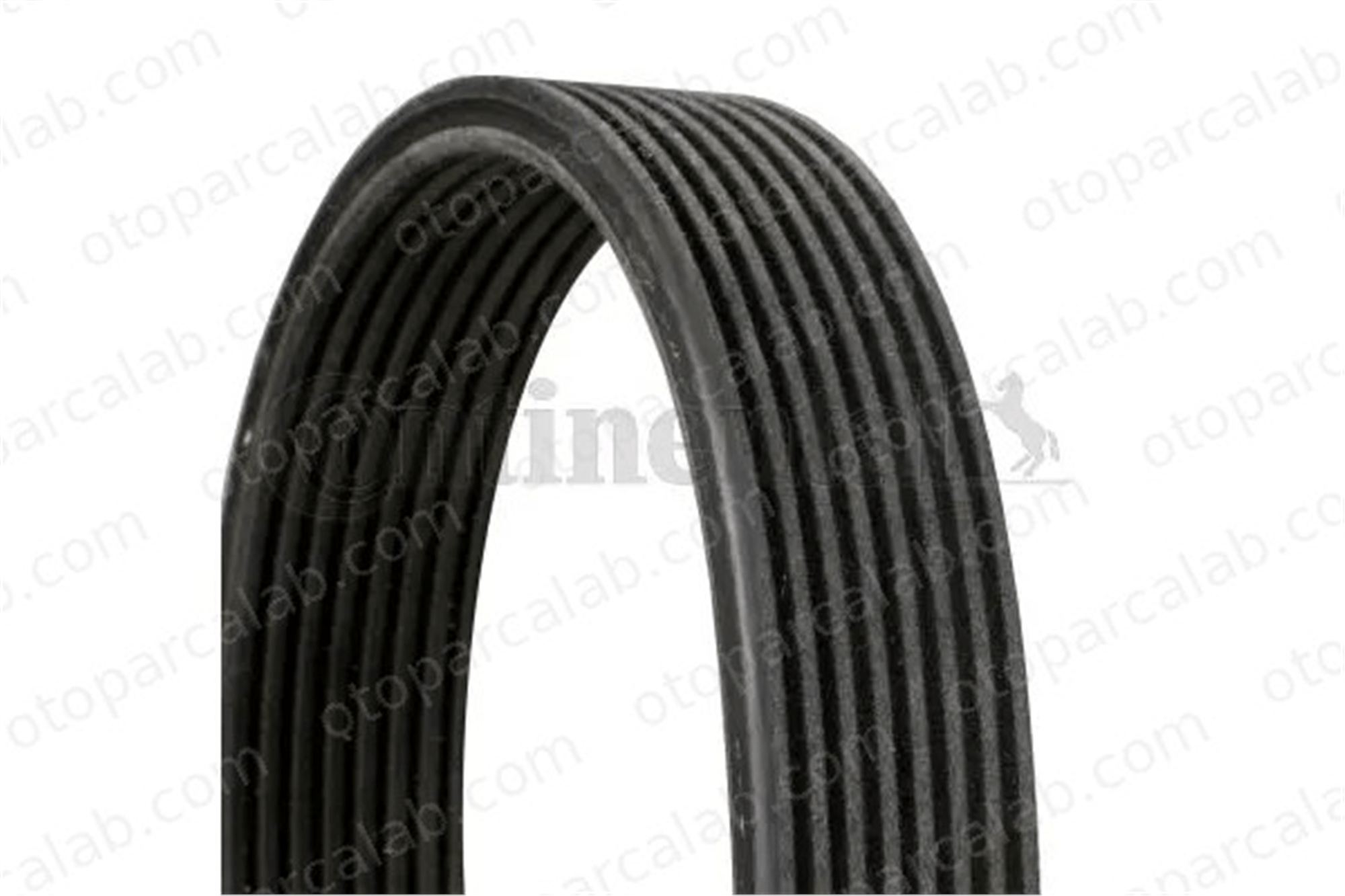 CONTINENTAL 8DPK1833 Vantilatör Kayışı BMW 7 8DPK1833 11287628279