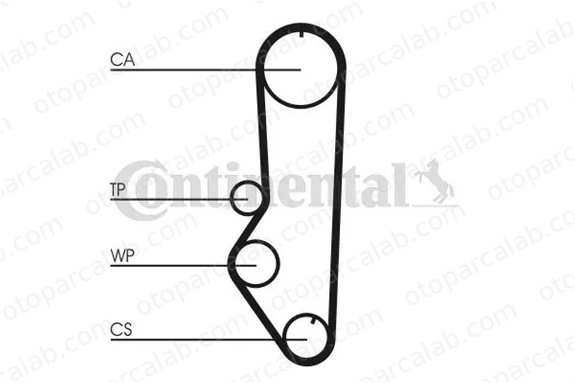 CONTINENTAL CT688 Triger Kayışı FORD ESCORT II ESCORT III 81SM6268GE 1653888