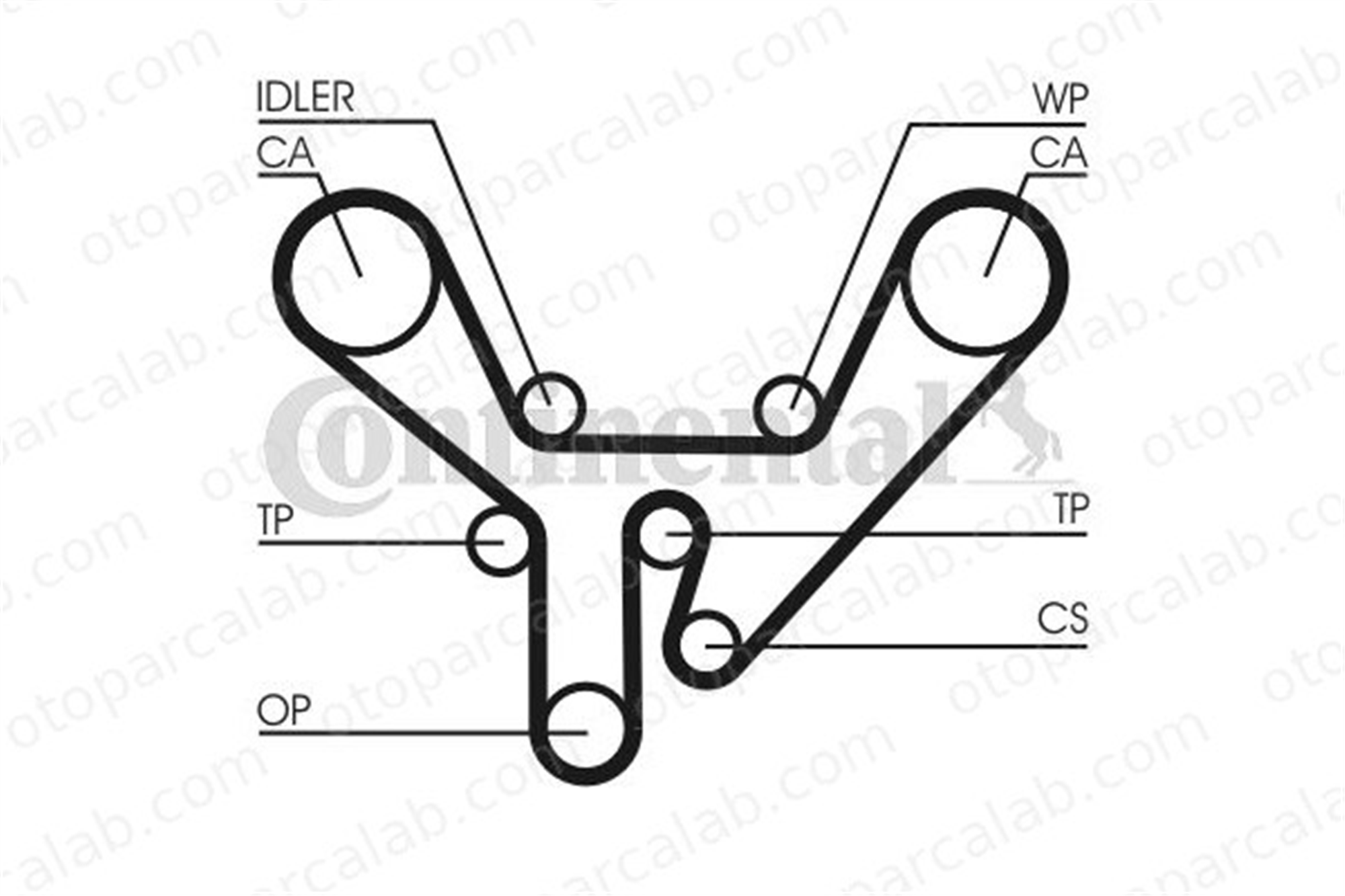 CONTINENTAL CT727 Triger Kayışı AUDI A8 D2 V8 77109119E 077109119E