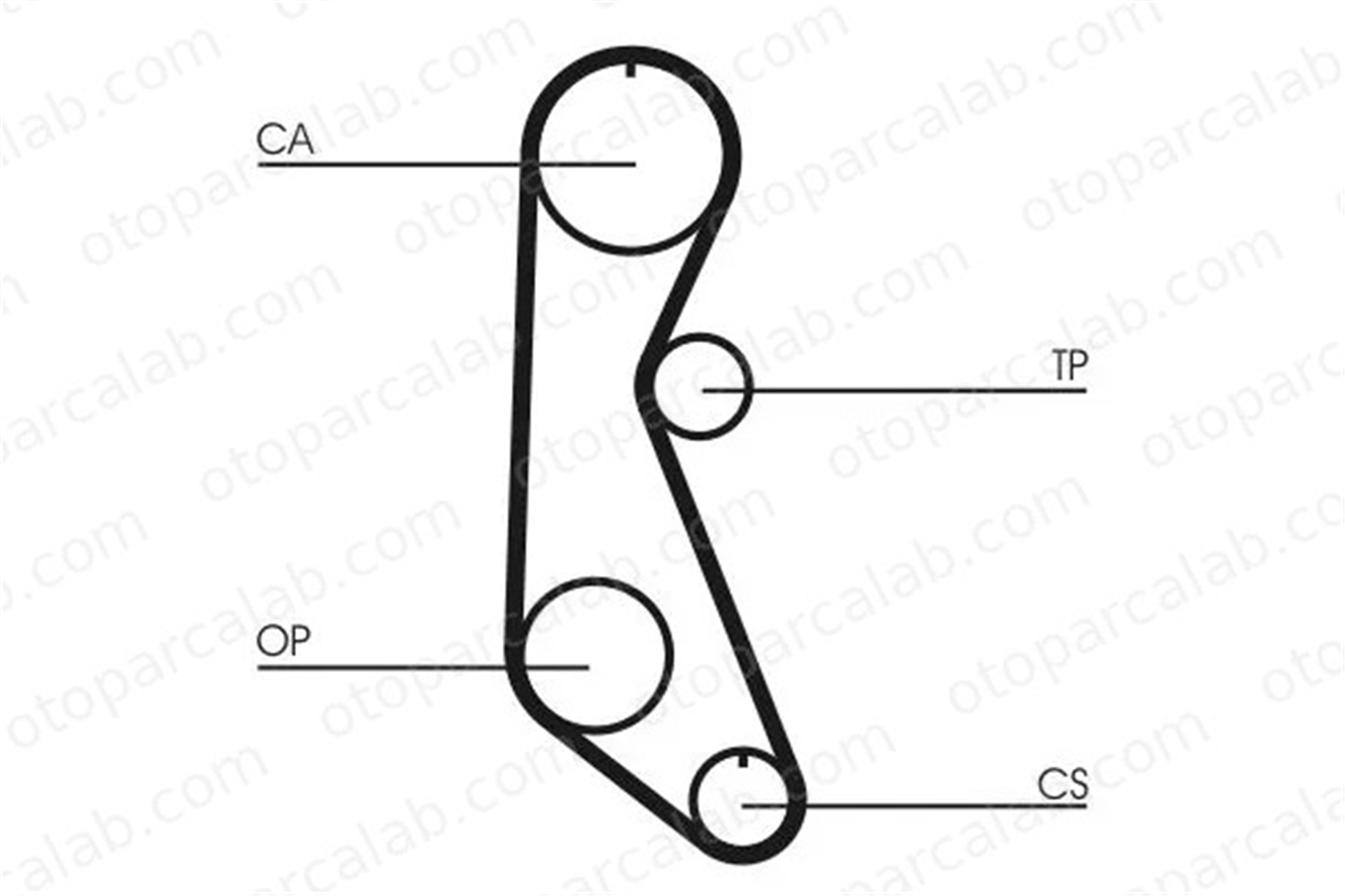 CONTINENTAL CT816 Triger Kayışı ISUZU TROOPER I Açık arazi aracı 8970422680 894174306