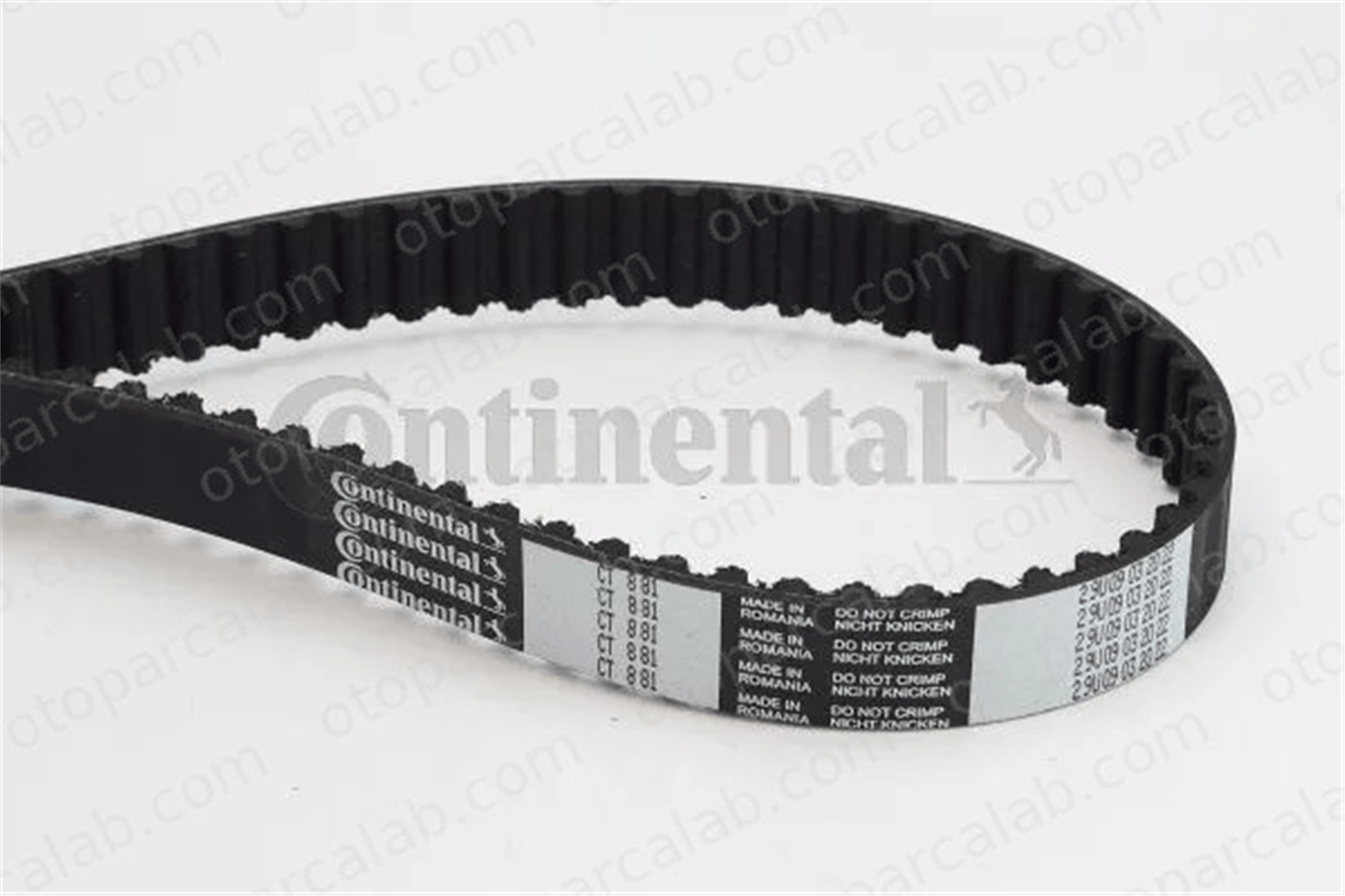 CONTINENTAL CT881 Triger Kayışı FORD FOCUS III Turnier C-MAX II 96MM6K288BA 1823388