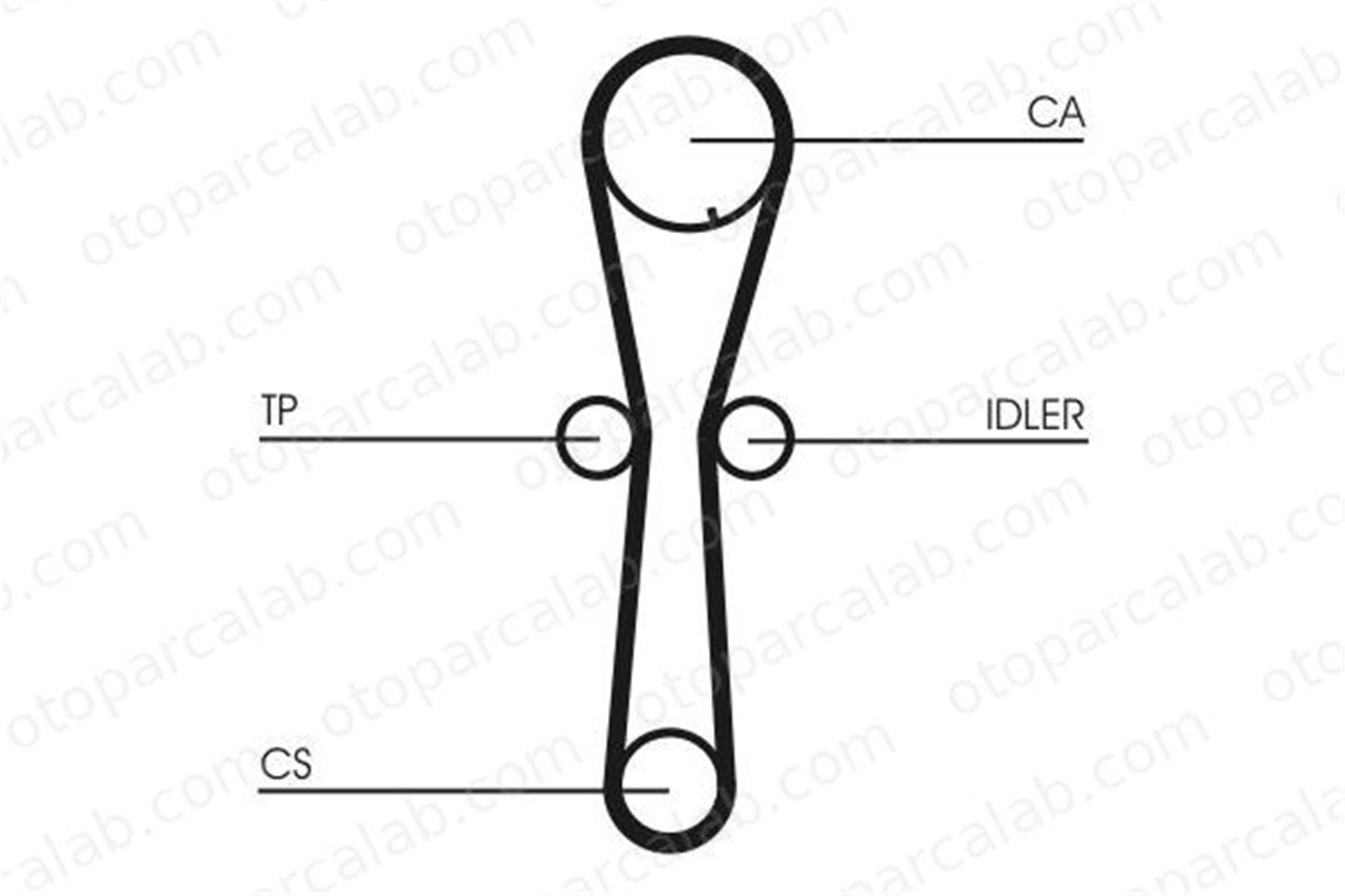 CONTINENTAL CT954 Triger Kayışı HONDA CIVIC VI Fastback MG MG ZS 14400P5TG00 GTB2003