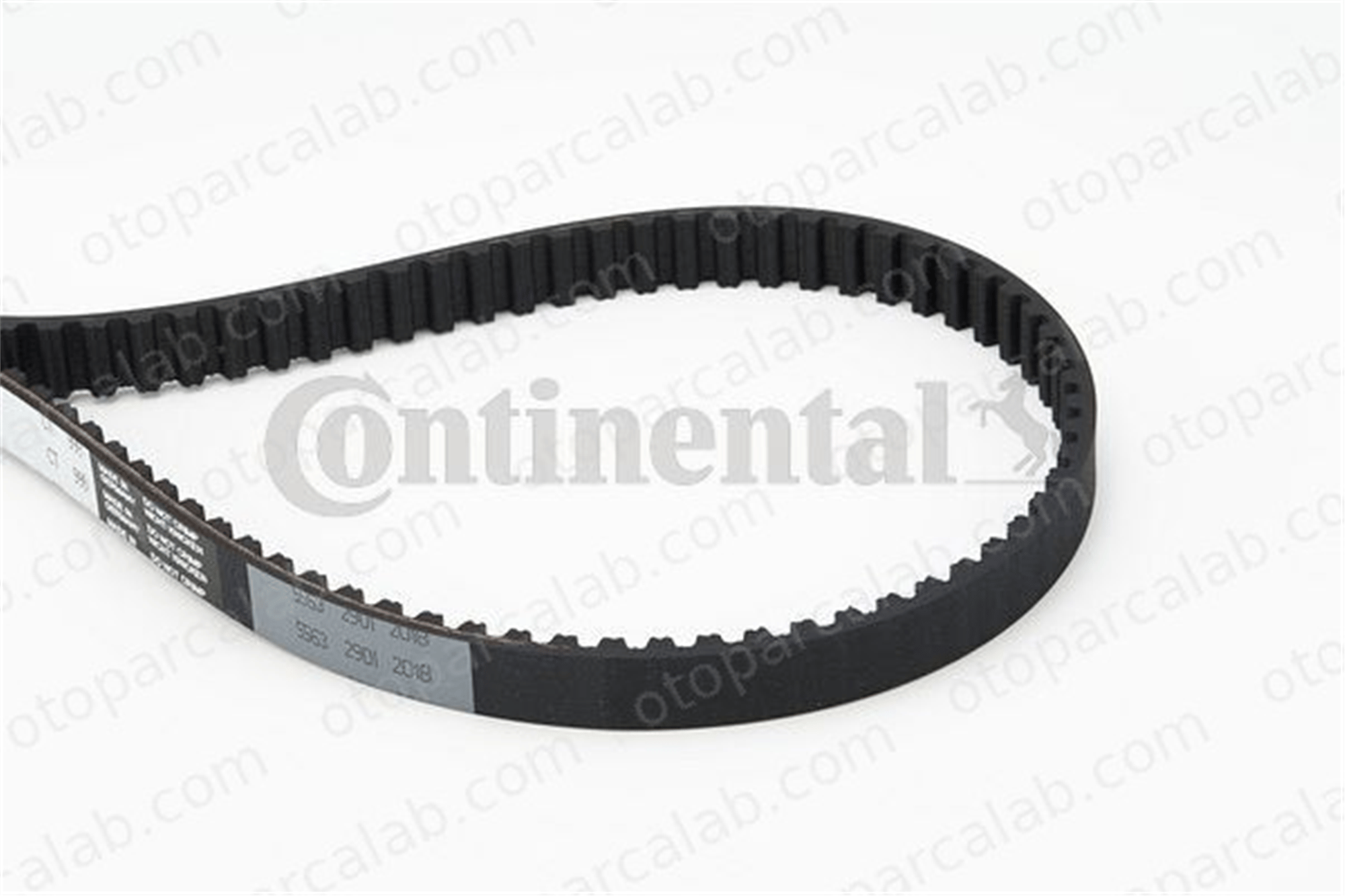 CONTINENTAL CT999 Triger Kayışı FIAT PANDA PUNTO 46526291 46736500