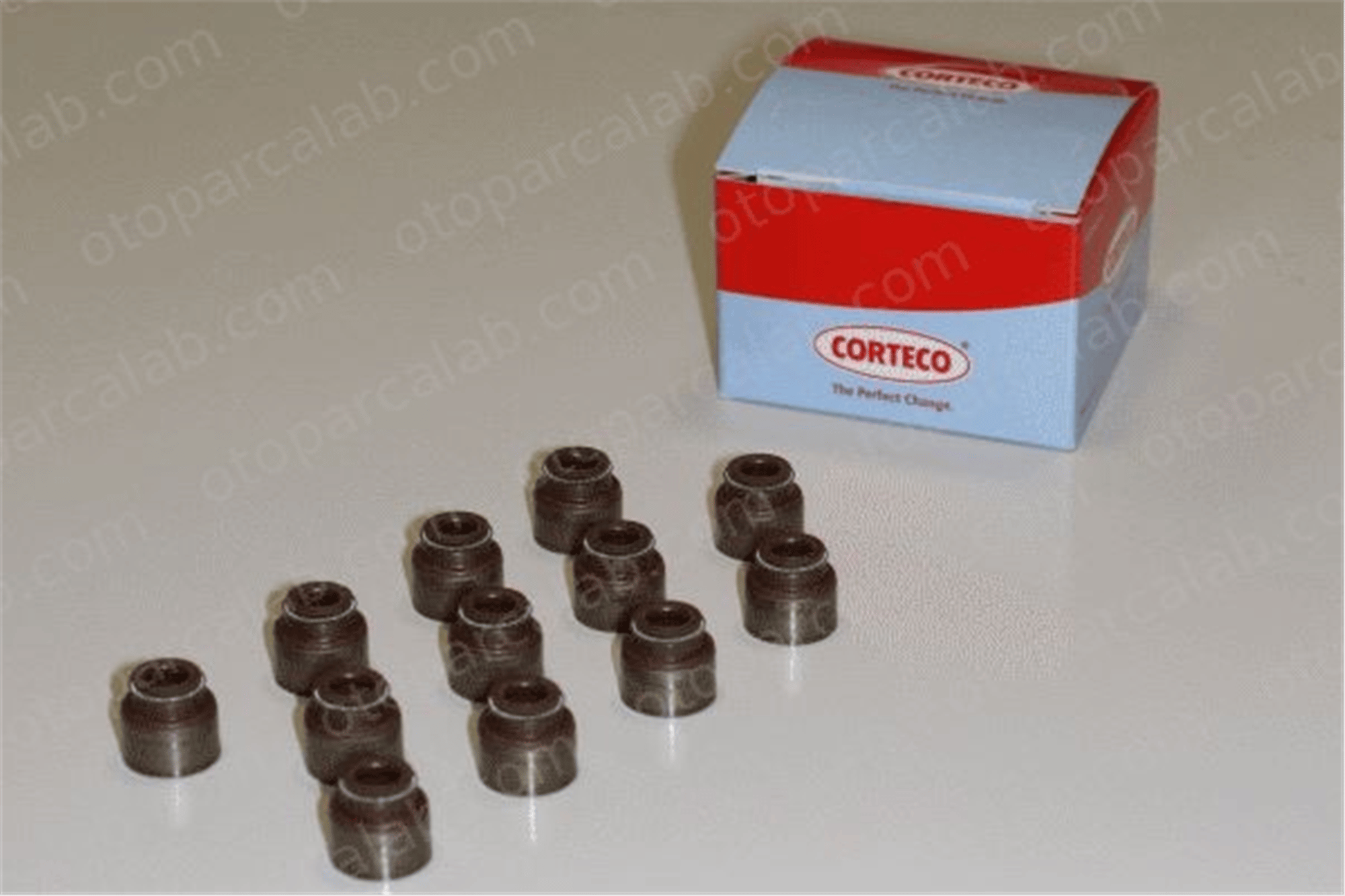 CORTECO 19036066 Supap Lastiği FORD MAVERICK NISSAN PICK UP 19036066 1952684
