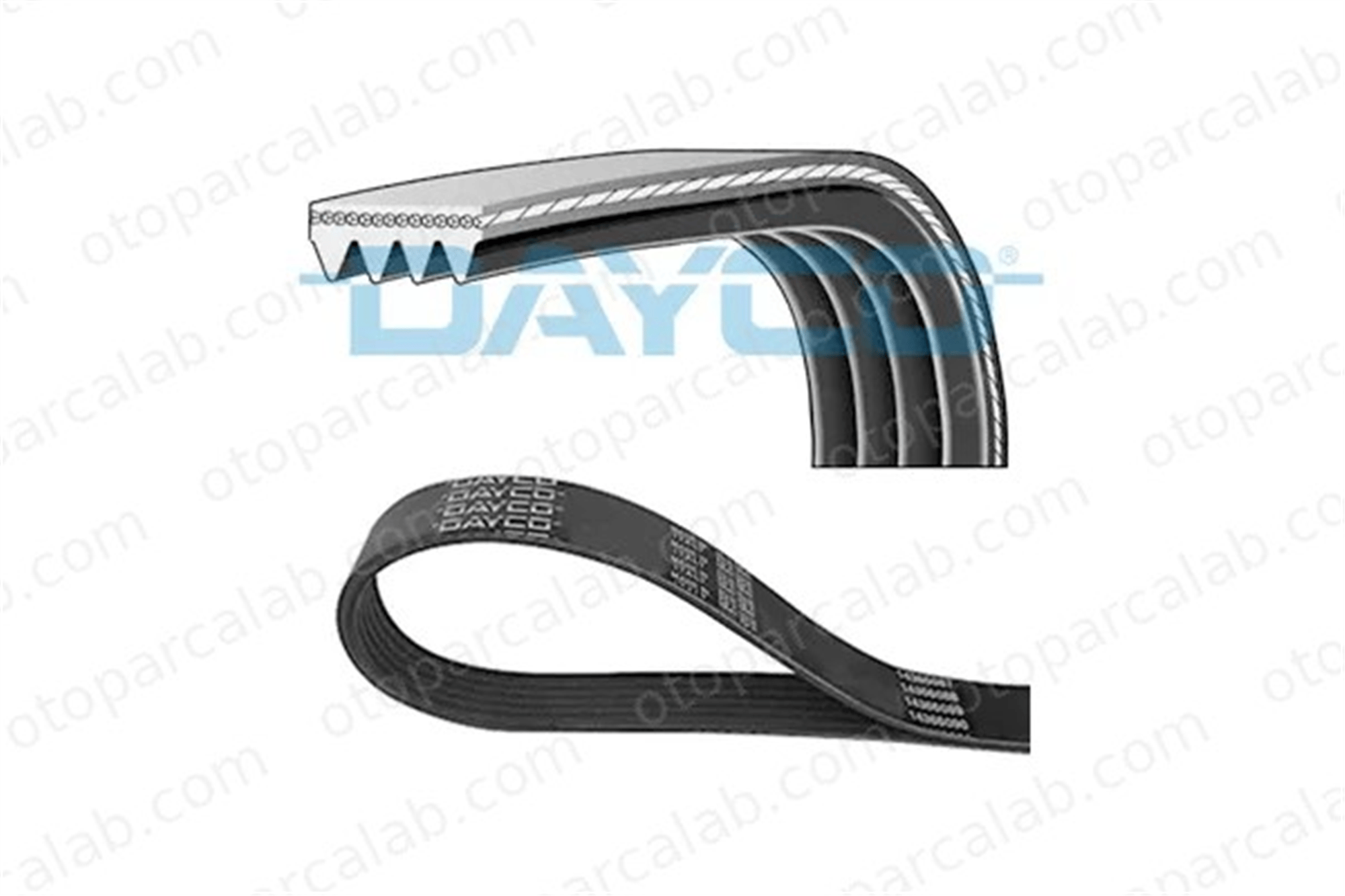 DAYCO 4PK1015 Vantilatör Kayışı IVECO DAILY III Panelvan/Van DAILY III Platform şasi B58815909 4431887401000
