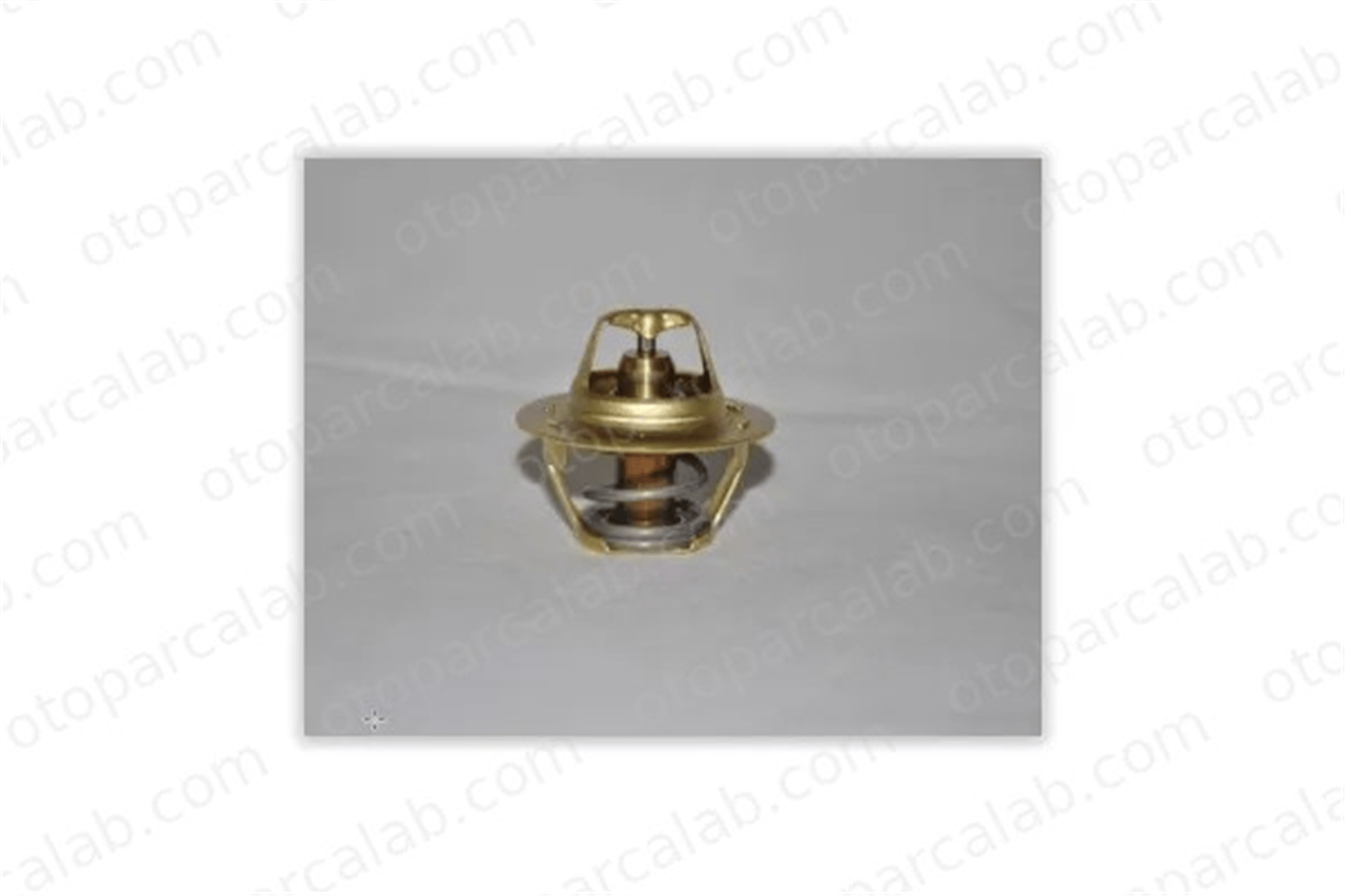ELBA 860001 Termostat 89 °C RENAULT LAGUNA II Grandtour SCÉNIC I MPV 7700872554 8200772985