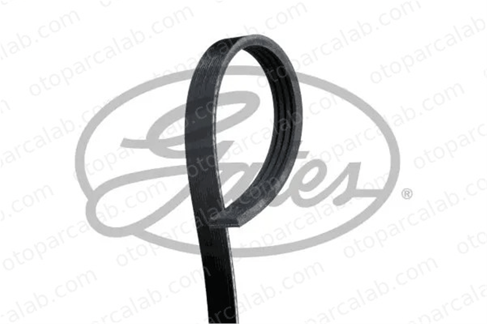 GATES 4PK773 Vantilatör Kayışı MITSUBISHI CARISMA CARISMA Sedan 9004831004 9004831004000