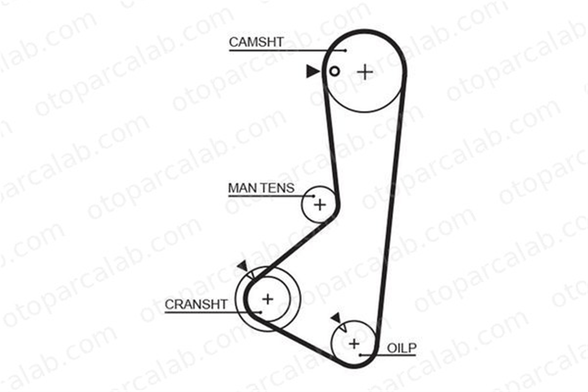 GATES 5372XS Triger Kayışı HYUNDAI SONATA III MITSUBISHI L 300 III Minibüs/Otobüs 2431232560 PMTB406