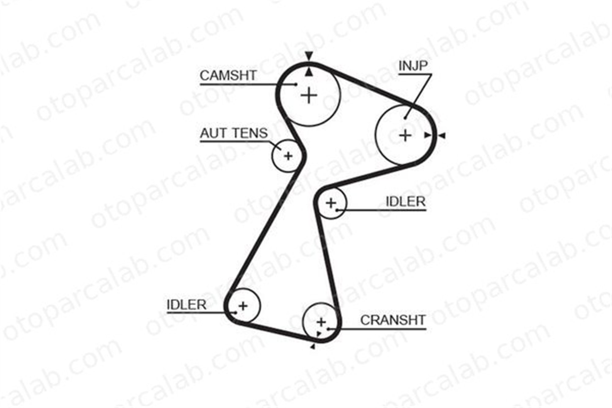 GATES 5561XS Triger Kayışı RENAULT KANGOO Express MEGANE I 4402638 4404309