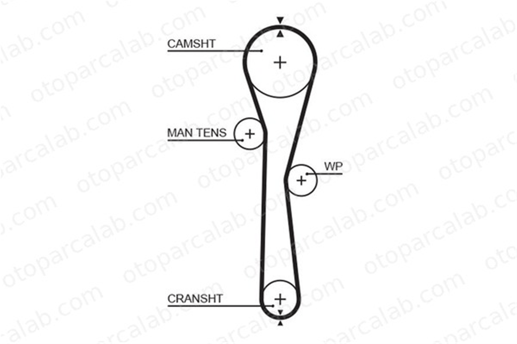 GATES 5577XS Triger Kayışı RENAULT CLIO III CLIO III Grandtour 8200035834 8200106085