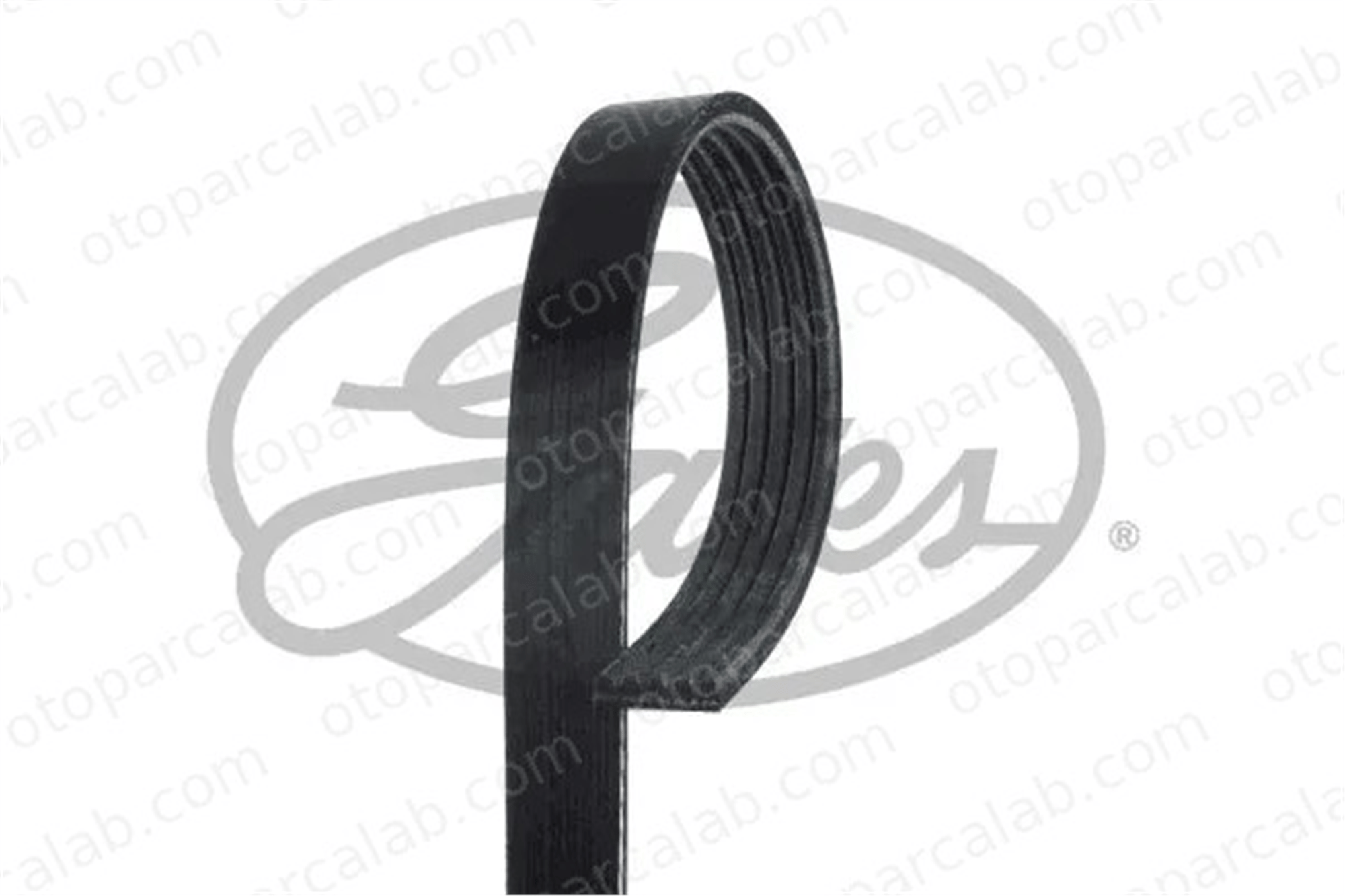 GATES 5PK1113 Vantilatör Kayışı TOYOTA CAMRY RENAULT CLIO II 79903137A 079903137A