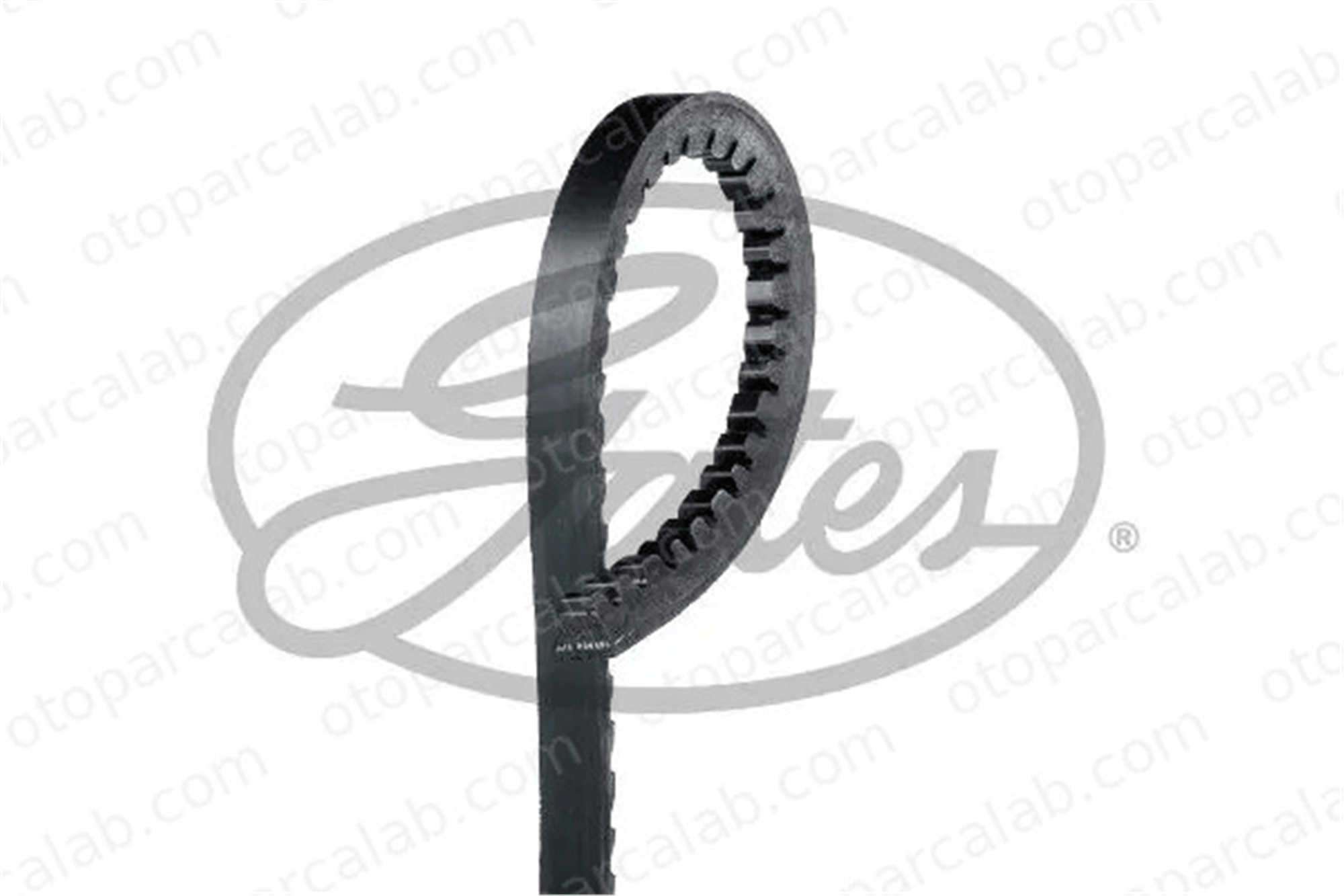 GATES 6202MC Vantilatör Kayışı FIAT RITMO REGATA MD025221 DS31410