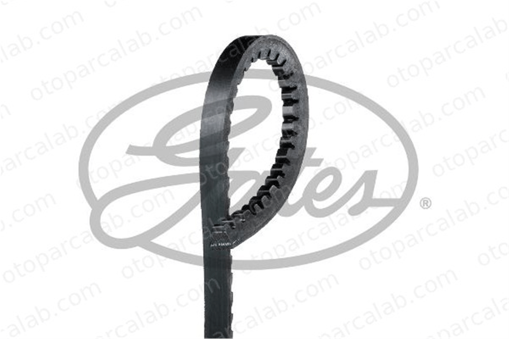 GATES 6464MC Vantilatör Kayışı FIAT TIPO ALFA ROMEO 75 106000210302 117131010300