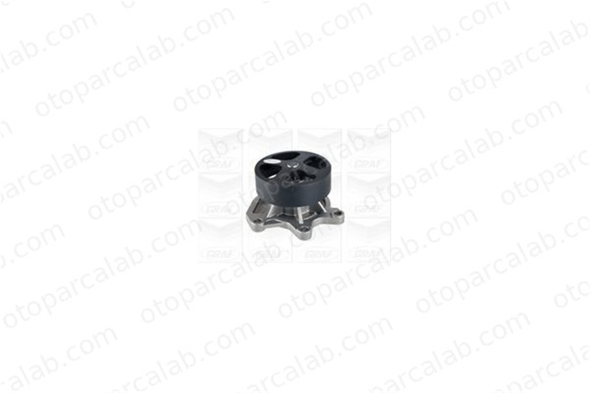 GRAF PA1172 Devirdaim Su Pompası NISSAN JUKE RENAULT MEGANE IV Hatchback 210102706R 210101KC0A
