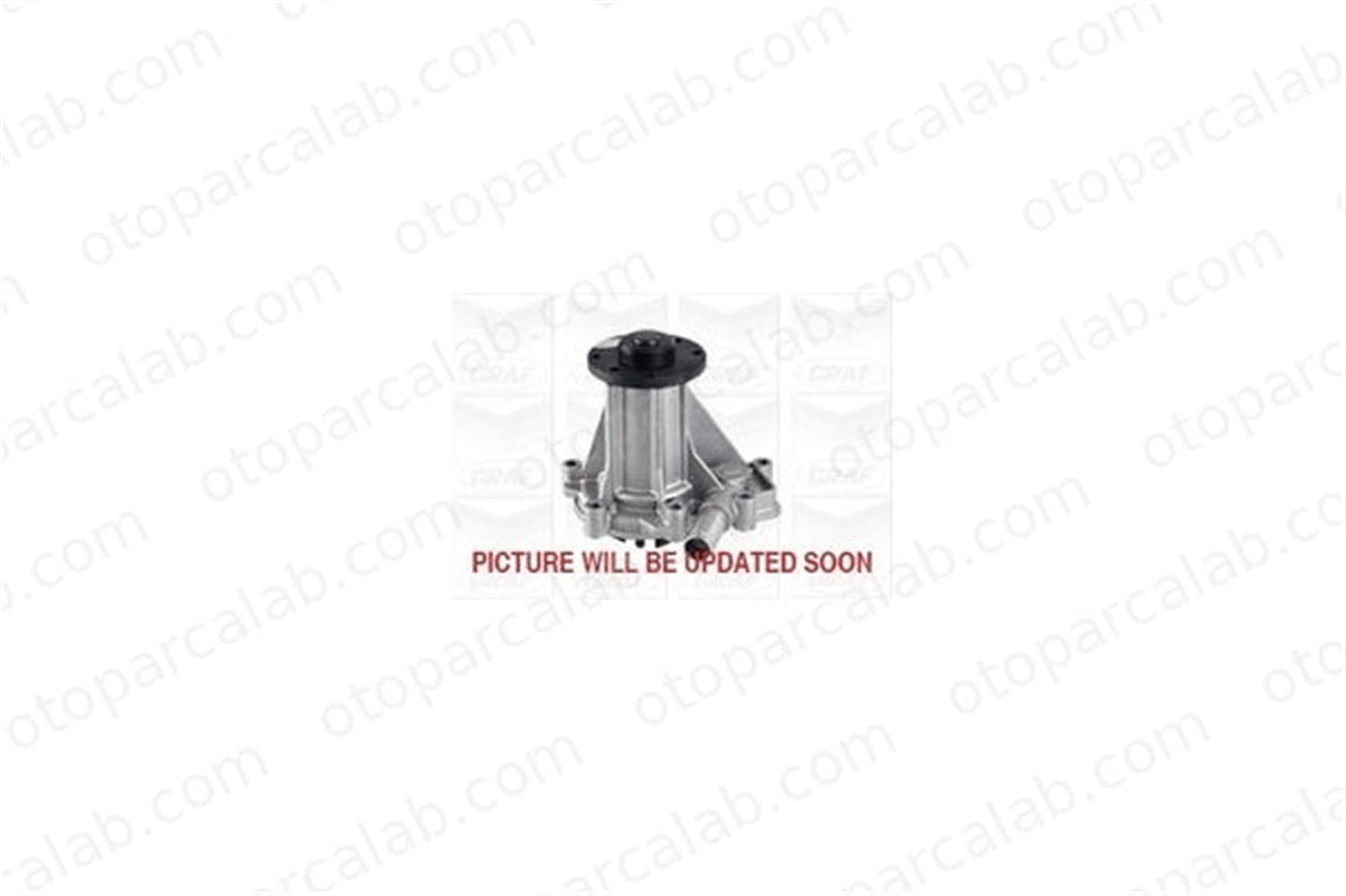 GRAF PA1190 Devirdaim Su Pompası SSANGYONG ACTYON I KYRON 6642000520 6642000501