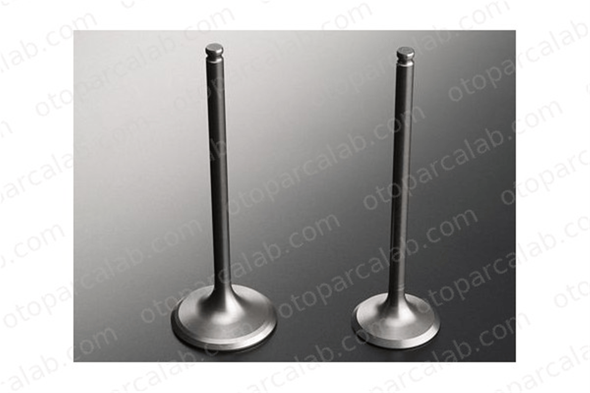 GUNES 4008-4009 Supap GÜNEŞ 4008-4009 OPEL CORSA D CORSA E 641094 641096