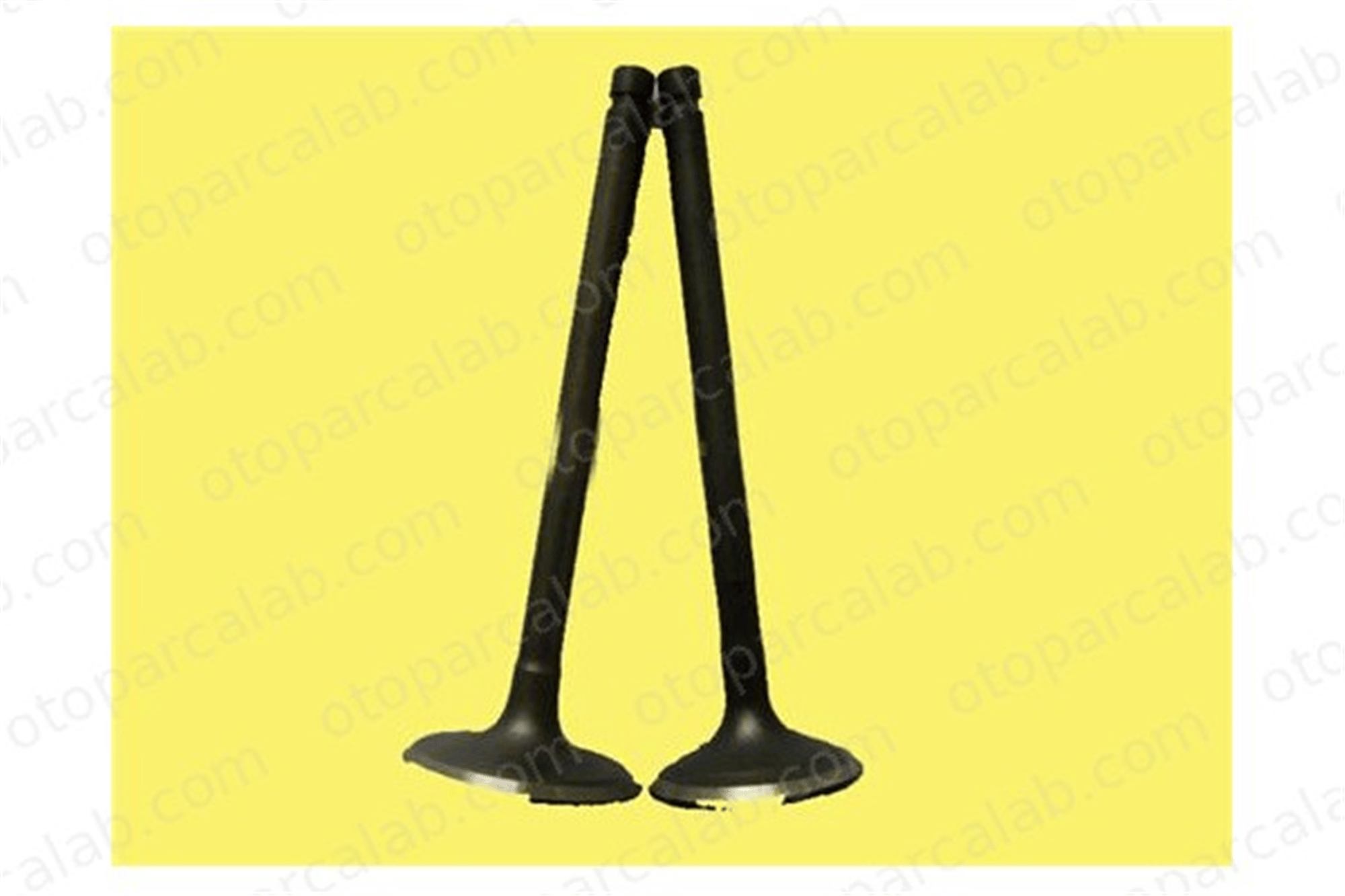GUNES 4037-4038 Supap GÜNEŞ 4037-4038 OPEL ASTRA G Coupe ASTRA G Station wagon 641022 641325