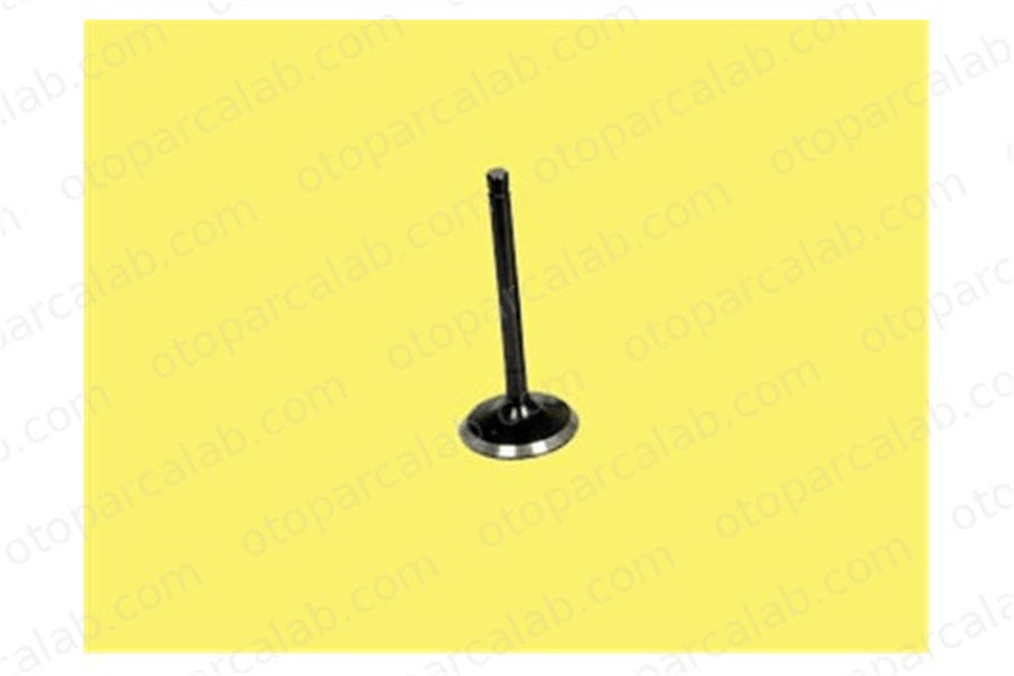 GUNES 4657-4658 Supap GÜNEŞ 4657-4658 RENAULT MEGANE II MEGANE III Hatchback 7700107489 7700107490