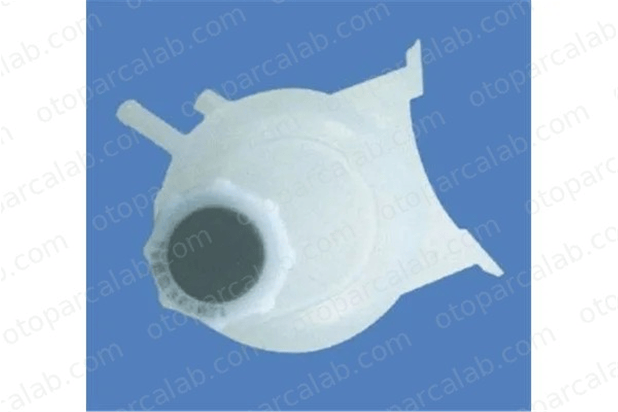 MAGNETI MARELLI 359001601270 Radyatör Yedek Su Deposu RENAULT MEGANE I Classic SCÉNIC I MPV 7701468746