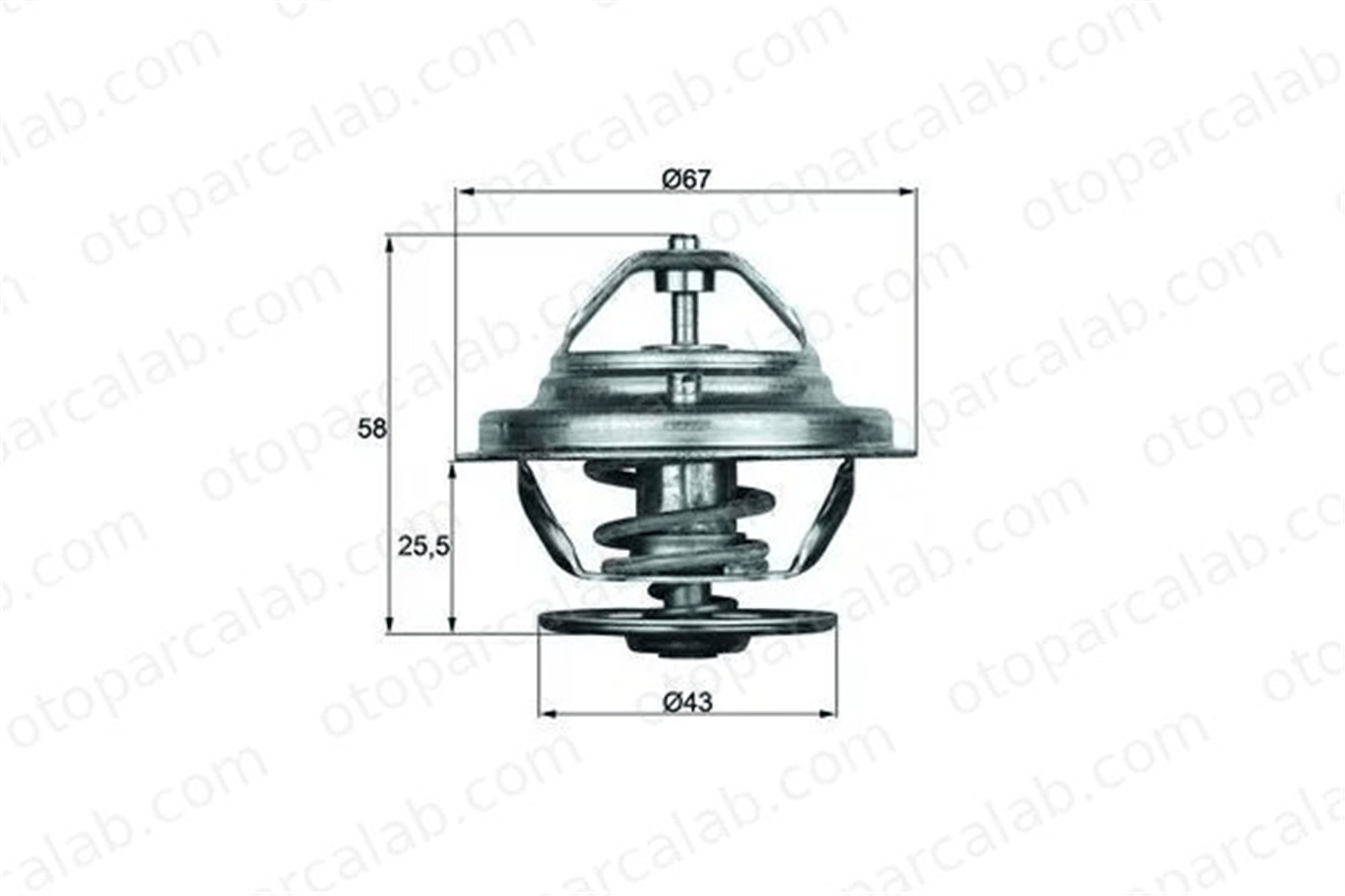 MAHLE TX 19 75D Termostat 75 °C MERCEDES-BENZ S-SERISI SL A1162000015 22037775