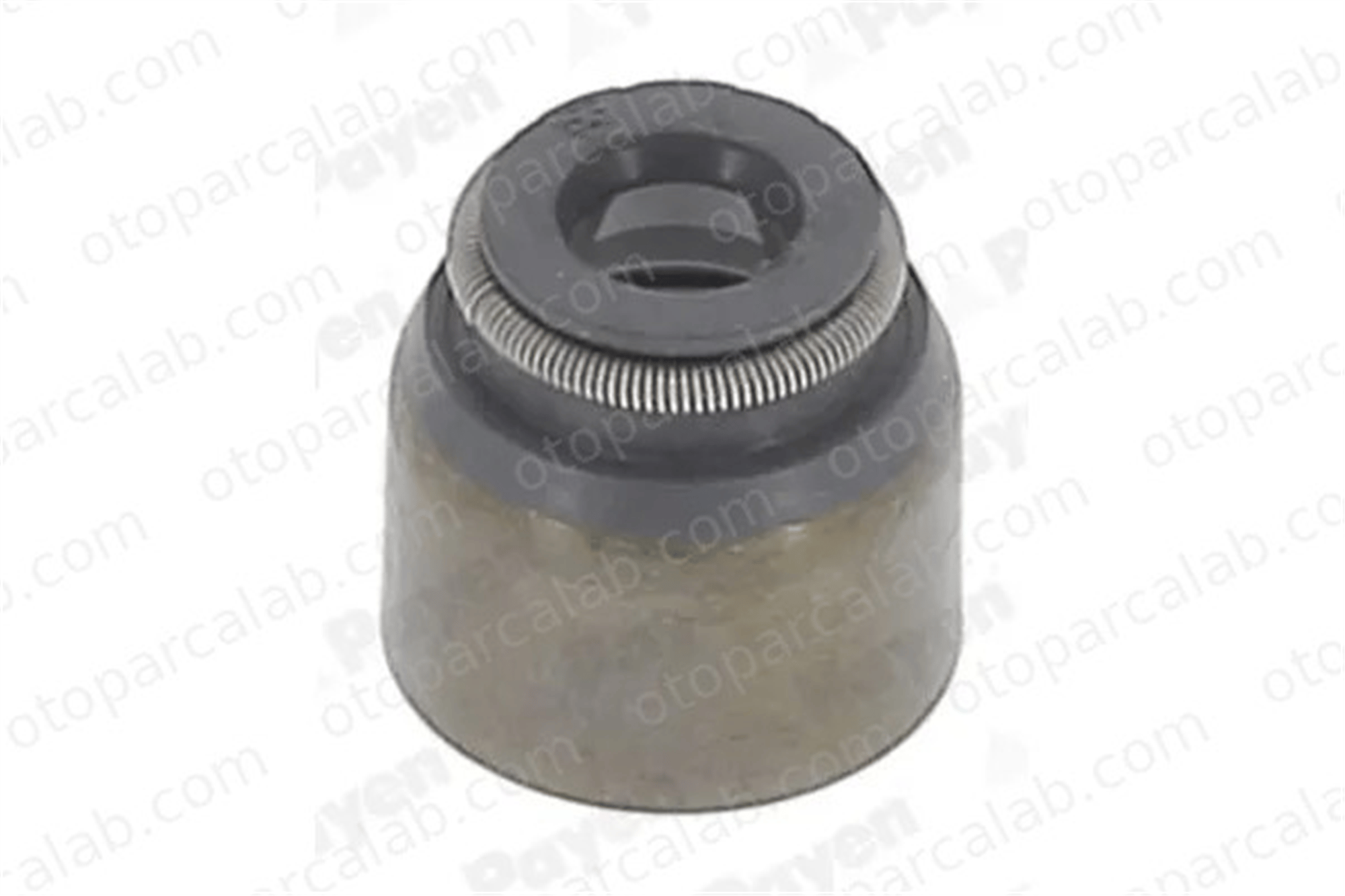 PAYEN PB681 Supap Lastiği NISSAN PRIMERA PRIMERA Hatchback 132071969R 2000530400