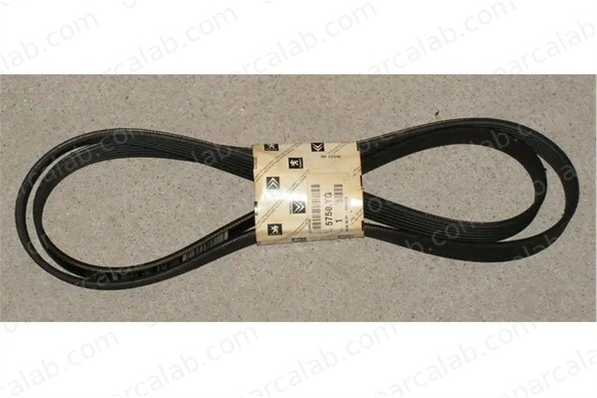 PSA ORJINAL 5750YG Vantilatör Kayışı PEUGEOT 406 406 Break 74145933AR PQS10061