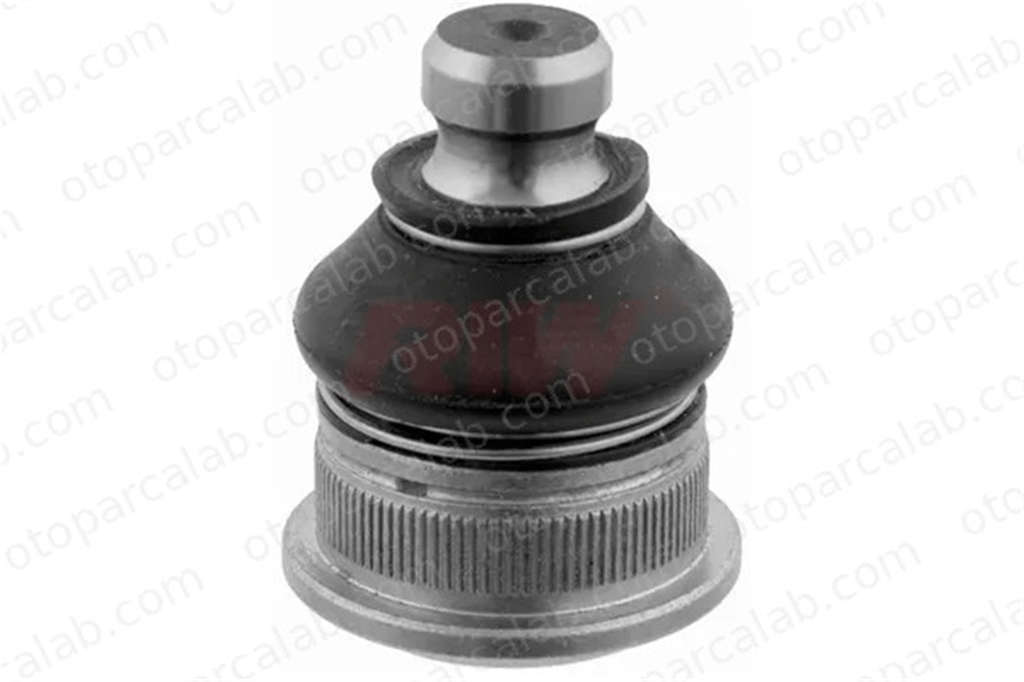 RIW RN1021 Rotil Alt Sağ veya Sol RENAULT MEGANE II CLIO III 8200298455 401604793R