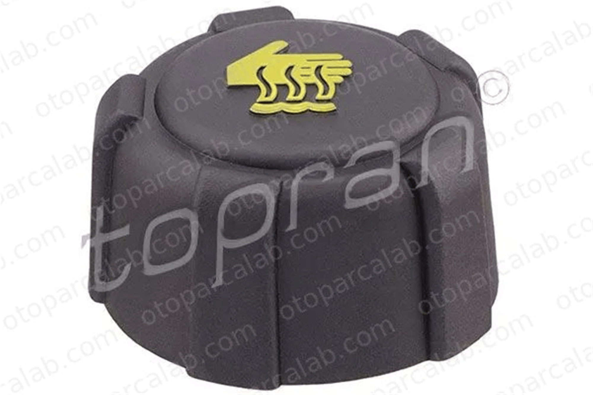 TOPRAN 700 210 Radyatör Yedek Su Depo Kapağı RENAULT KANGOO Express LAGUNA II Grandtour 8200048024 4155010015