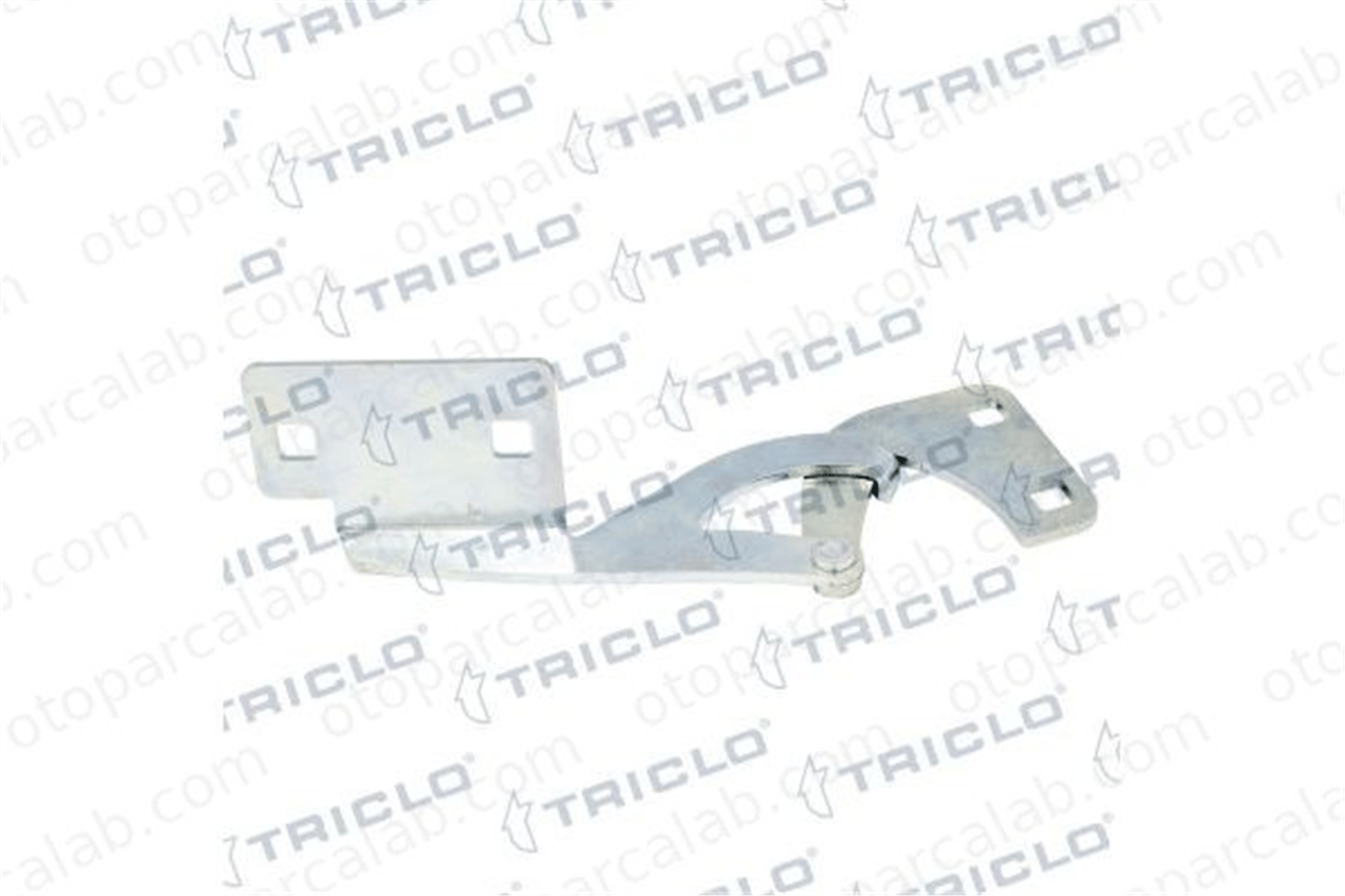 TRAL 7912.80 Motor Kaput Menteşesi Sol CITROËN BERLINGO / BERLINGO FIRST Kasa/büyük limuzin BERLINGO / BERLINGO FIRST MPV 791280