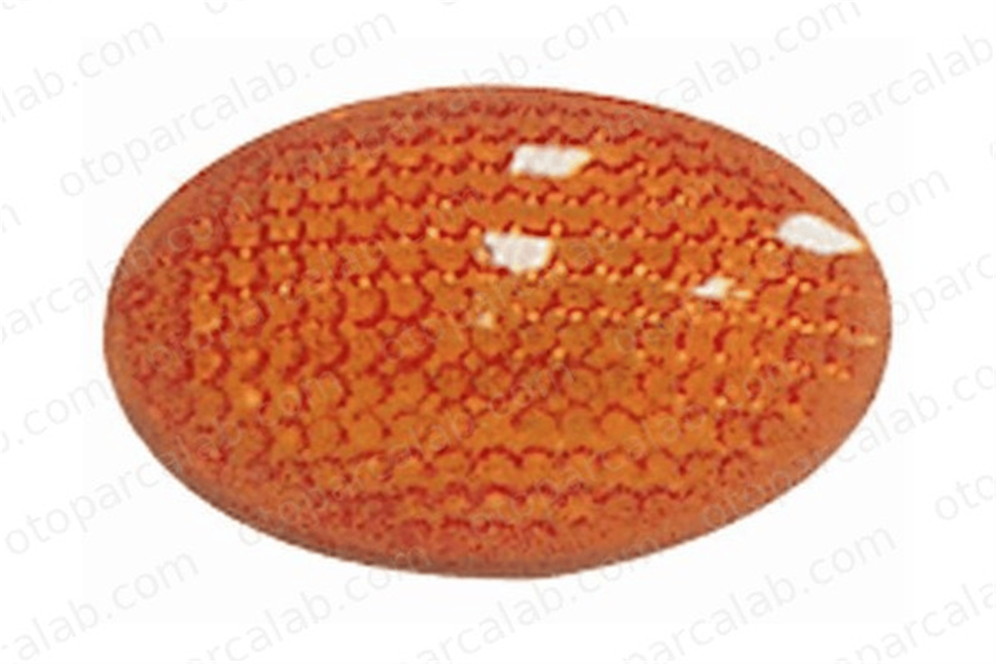 TYC 18-5009-01-2 Çamurluk Sinyali Sağ veya Sol OPEL ASTRA F Station wagon ASTRA F 90487599 1713411