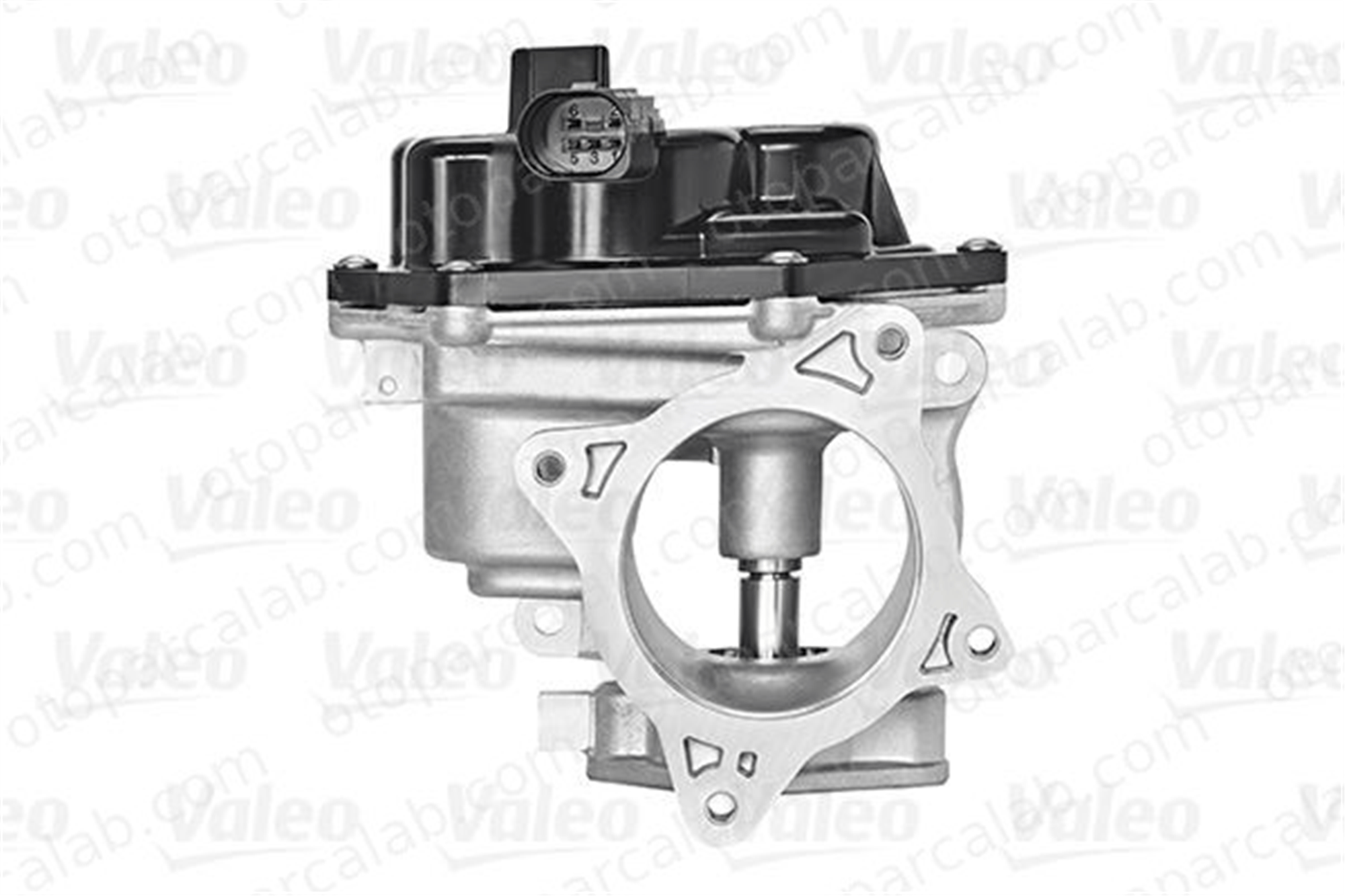 VALEO 700448 Egr Valfi VW CRAFTER 30-50 Panelvan/Van CRAFTER 30-50 Platform şasi 3L131501AA 03L131501AA