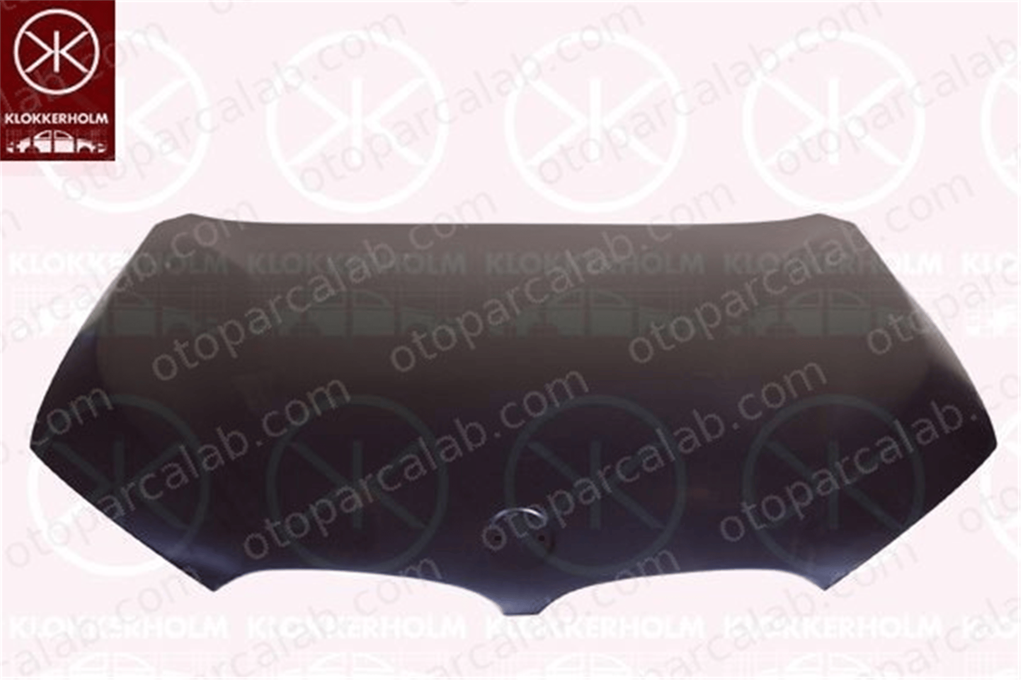 VORTEX V0201100 Motor Kaputu BMW X1 BM20038A 41007427123