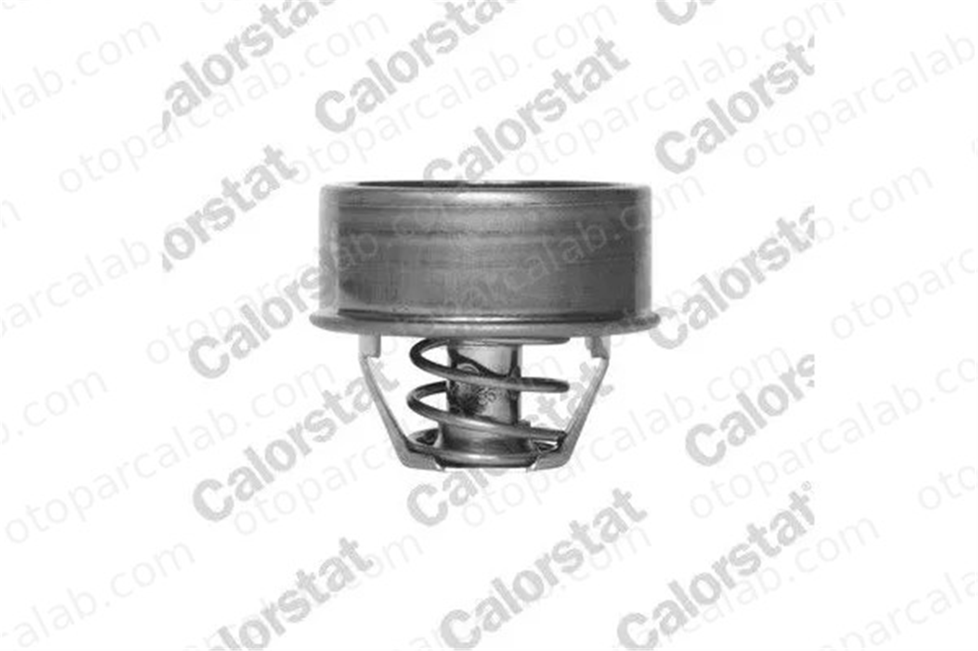 WAHLER 3053.75 Termostat PEUGEOT 504 J7 Panelvan/Van 133726 7910011873