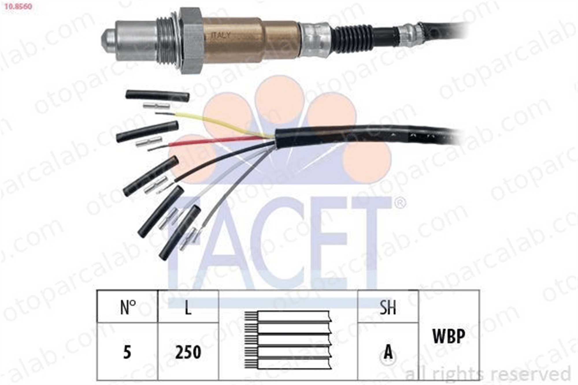 ZEGEN ZLS1138 Oksijen (Lambda) Sensörü AUDI A5 A5 Cabrio 6L906262E 6L906262G