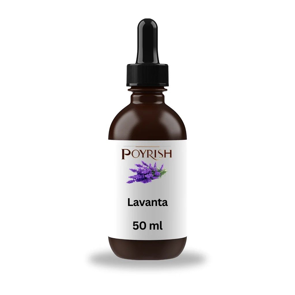 Lavanta Mum Esansı 50 ml.