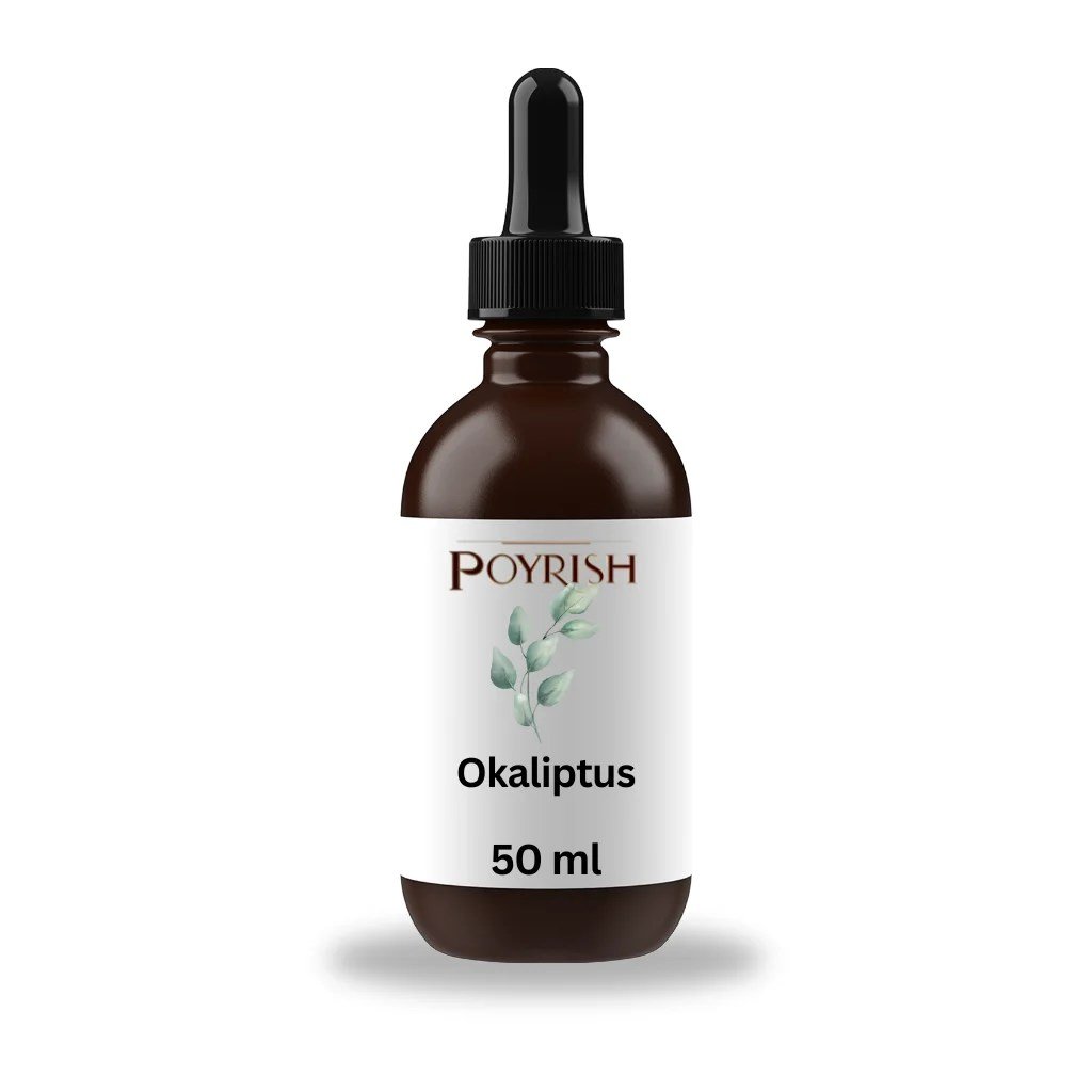Okaliptus Mum Esansı 50 ml.