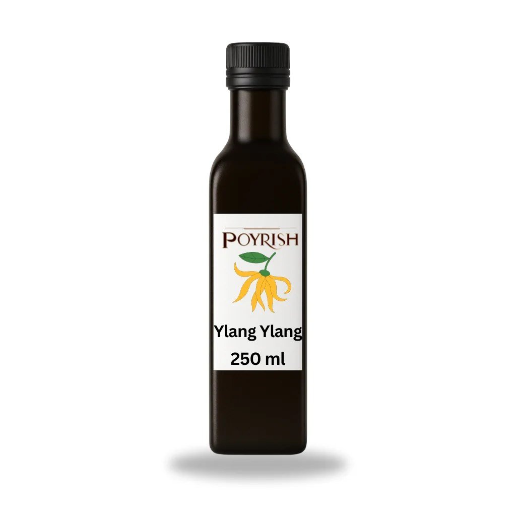 Ylang Ylang Mum Esansı 250 ml.