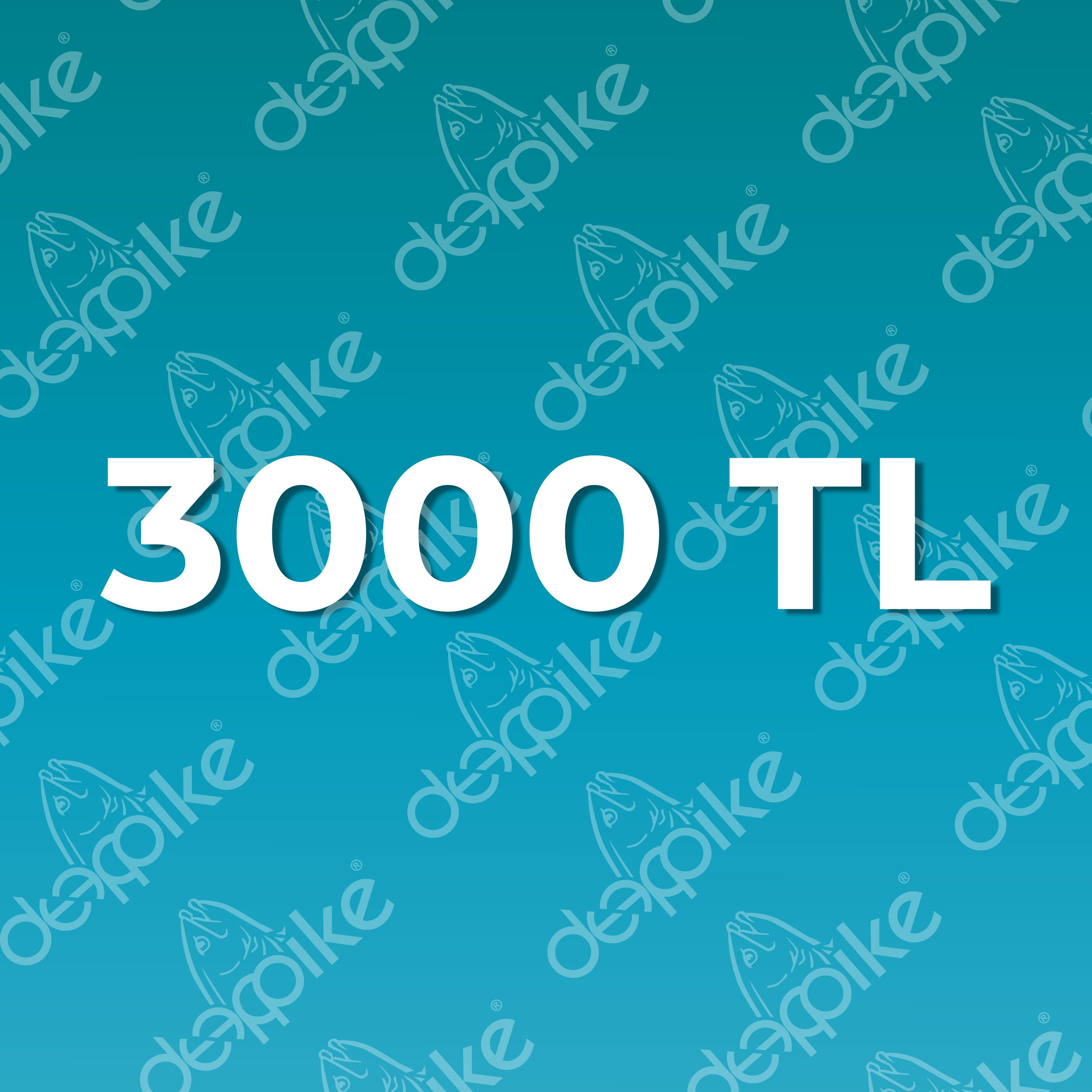 Cari Ödeme | 3000 TL