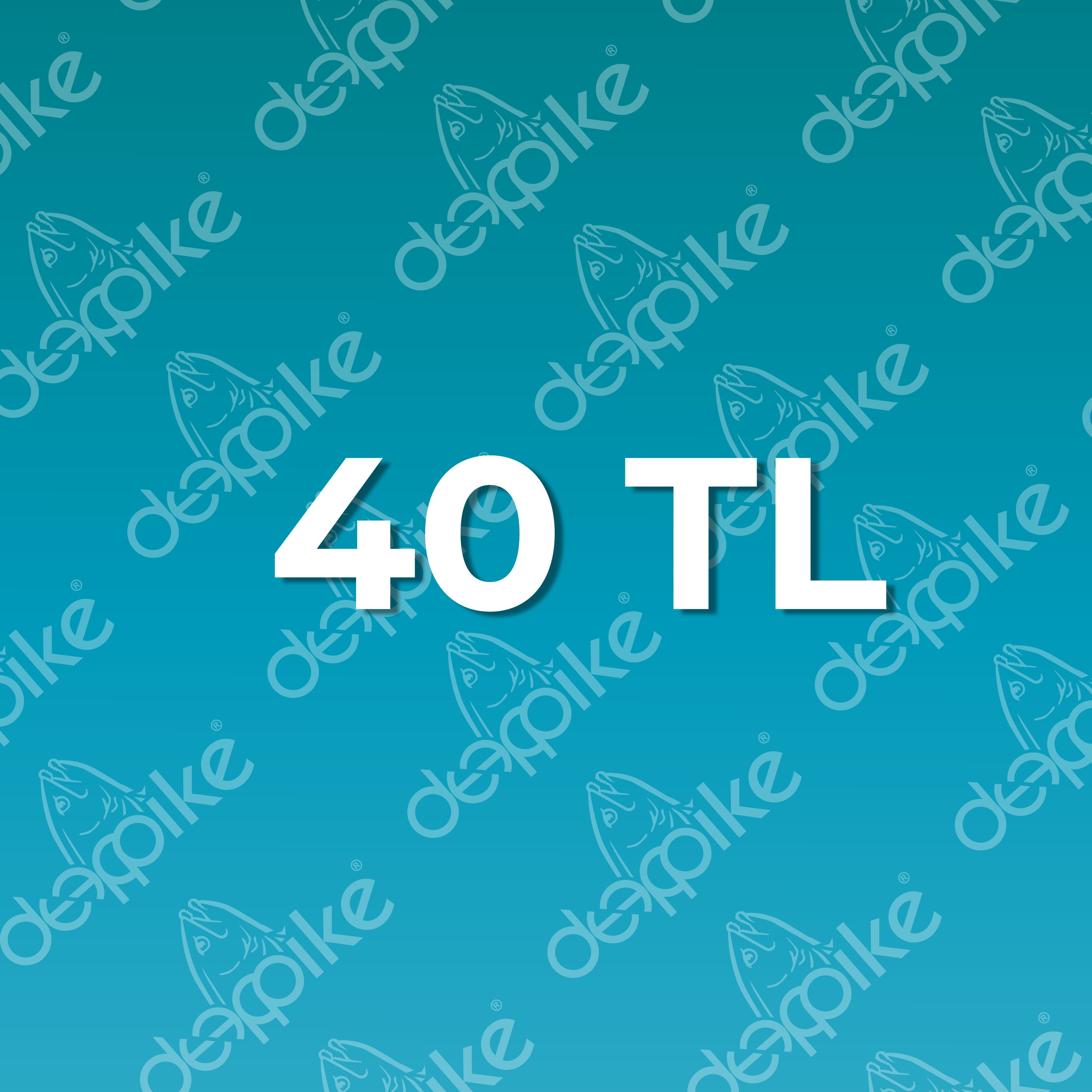 Cari Ödeme | 40 TL