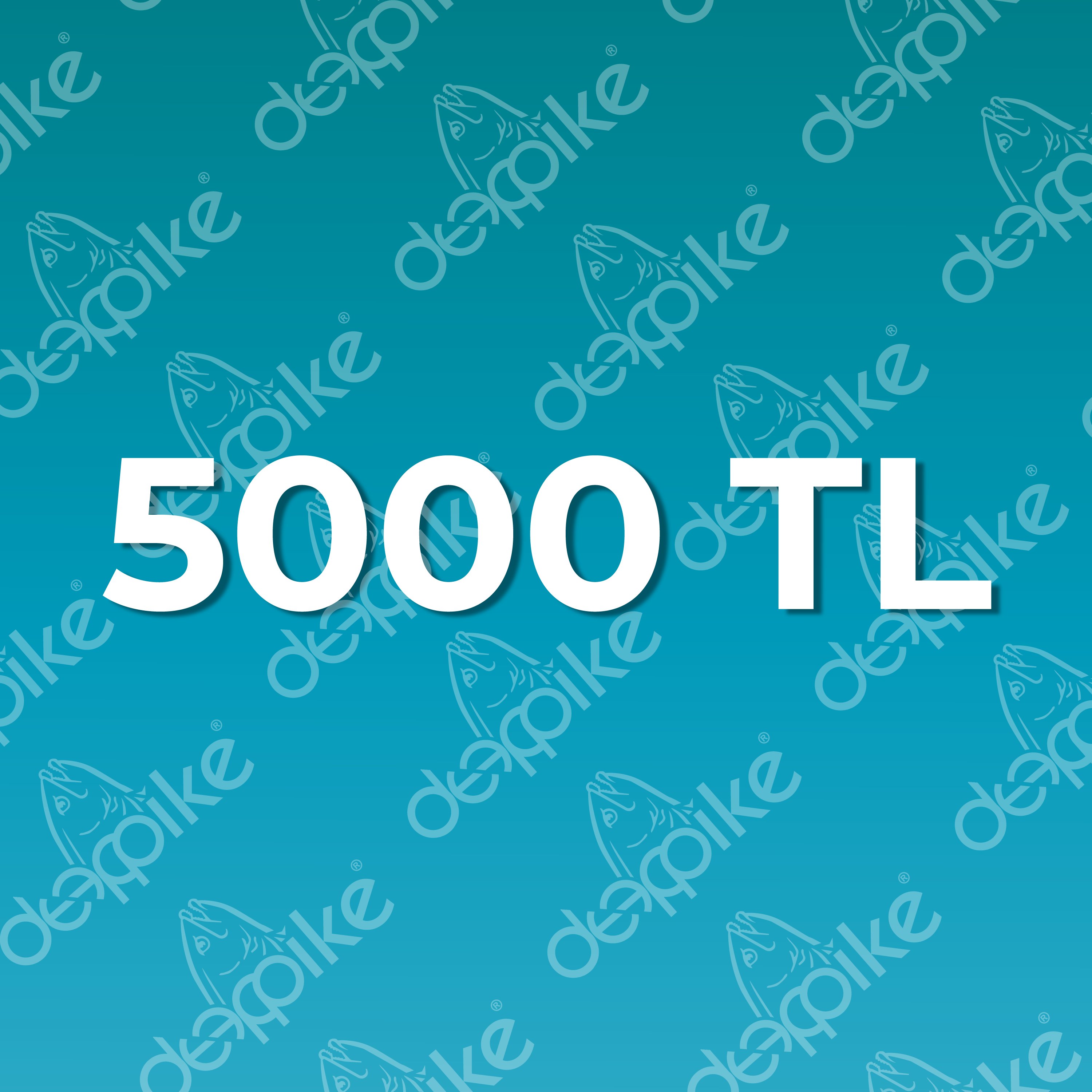 Cari Ödeme | 5000 TL