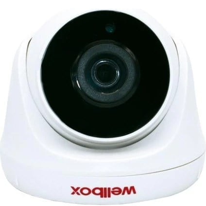 Wellbox WB-IPD3136 IP Dome Kamera