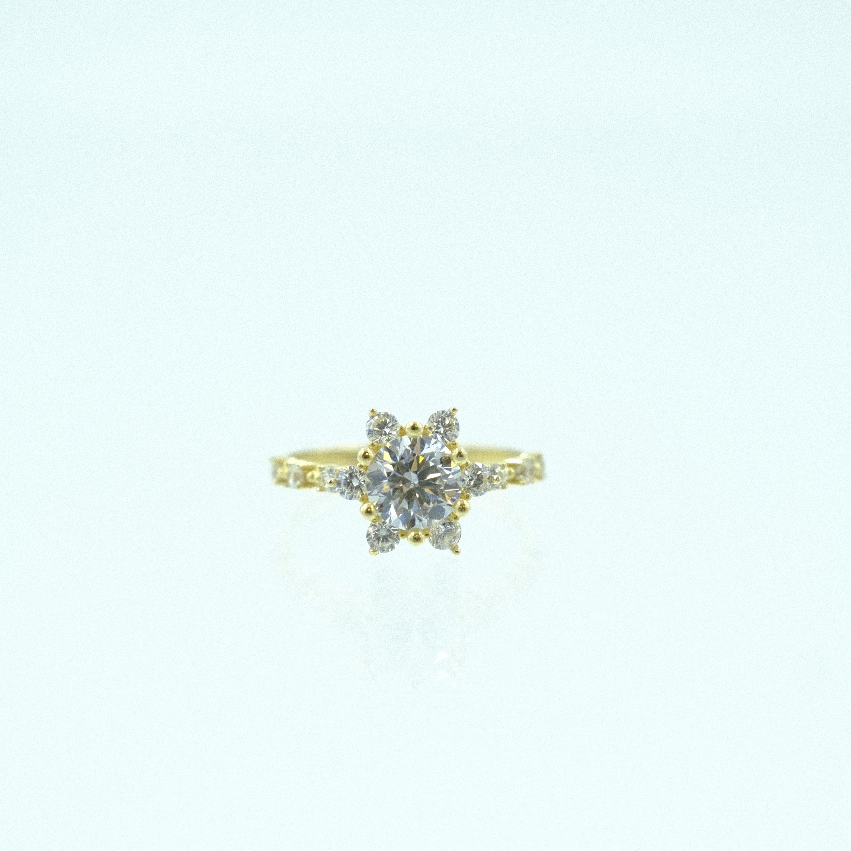 Solis-YZ000039