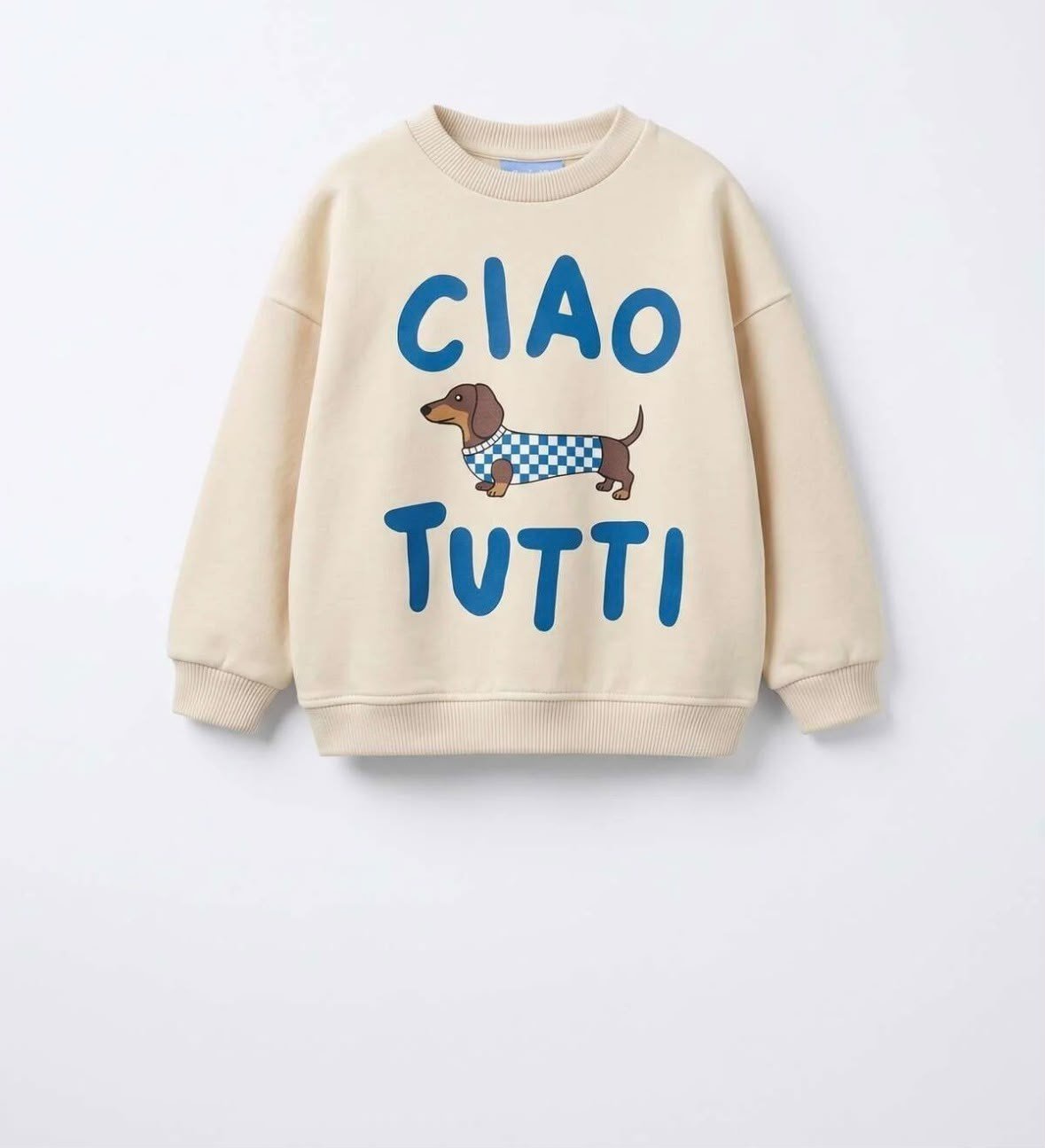 LACIEL Erkek Çocuk Köpek Desenli Pamuklu Sweatshirt